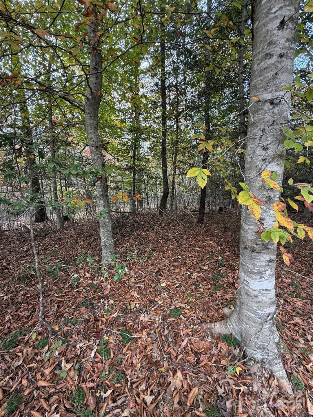 Lot # 7 West Legacy Drive #7 - Photo 36