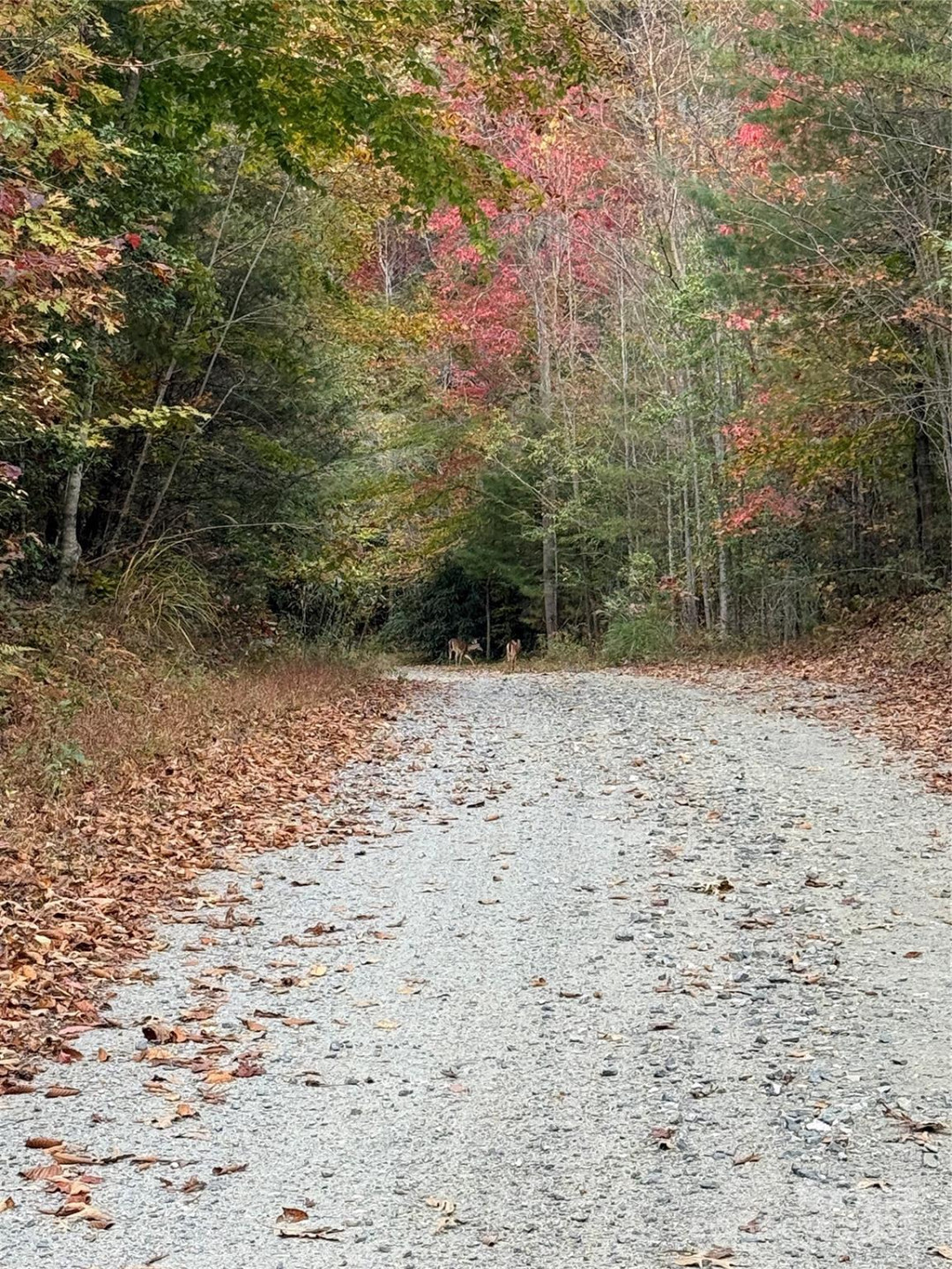 Lot # 7 West Legacy Drive #7 - Photo 39