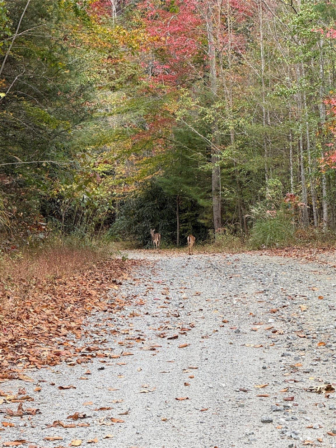 Lot # 7 West Legacy Drive #7 - Photo 40