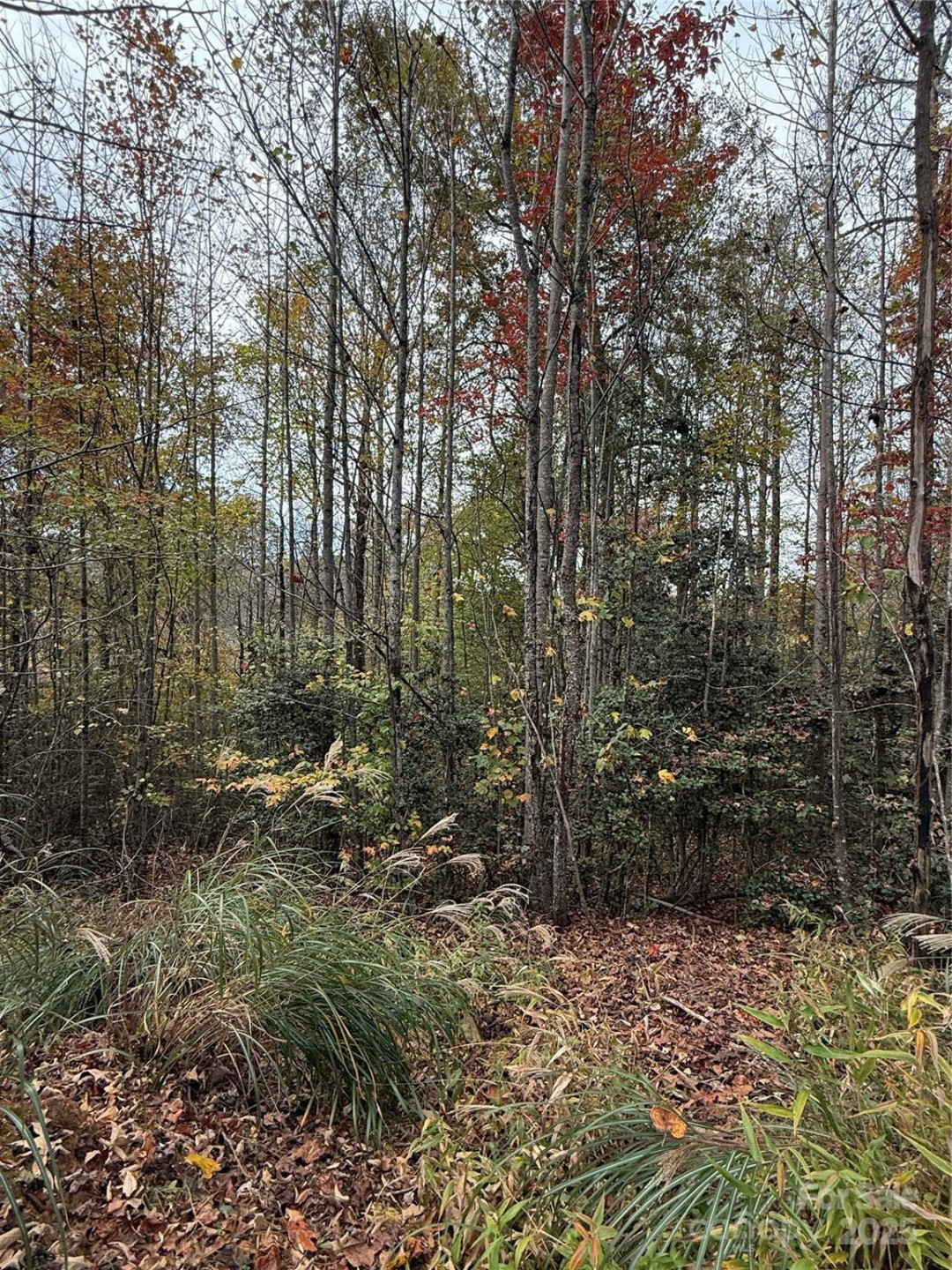 Lot # 7 West Legacy Drive #7 - Photo 5