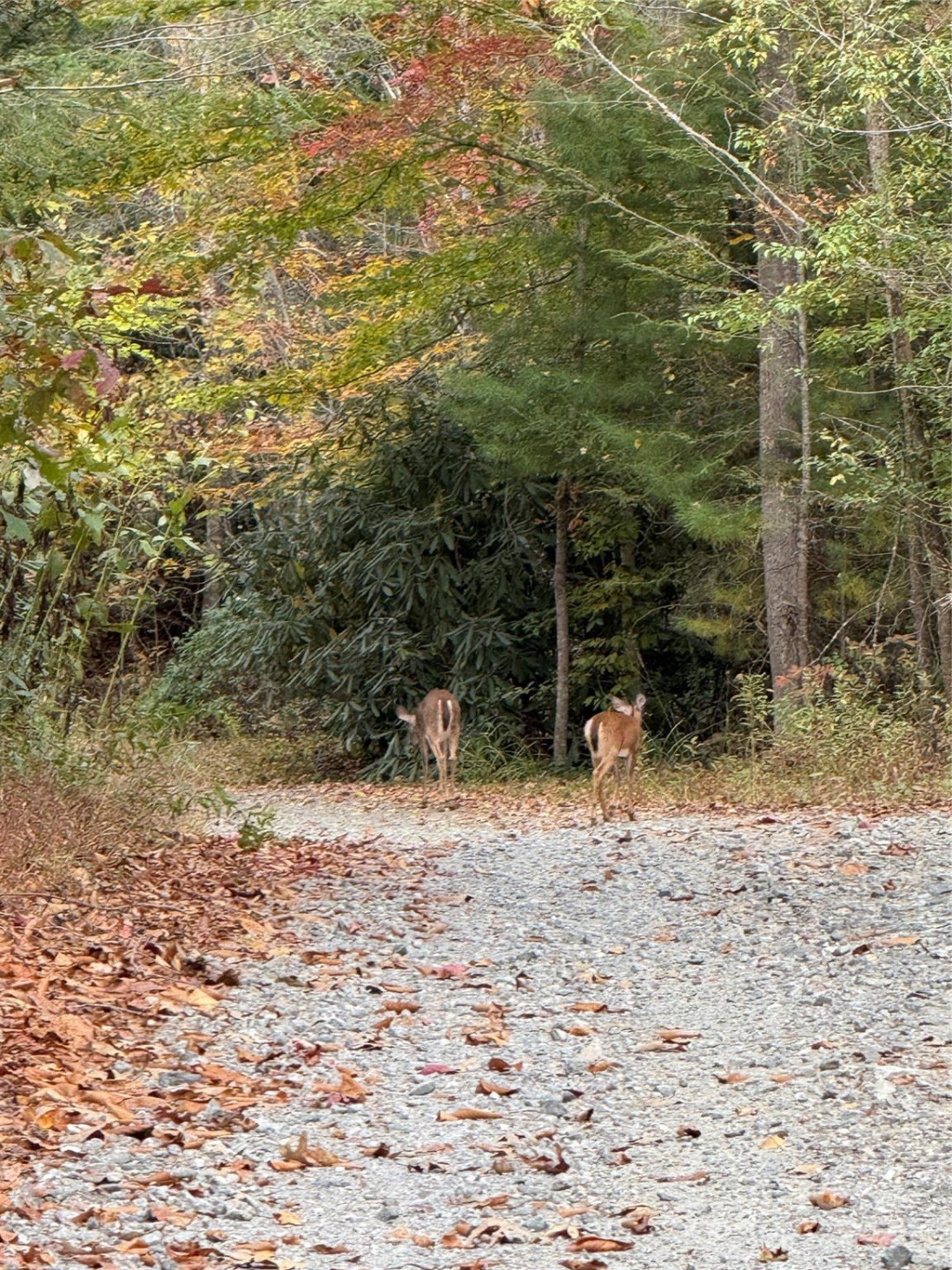 Lot # 7 West Legacy Drive #7 - Photo 41