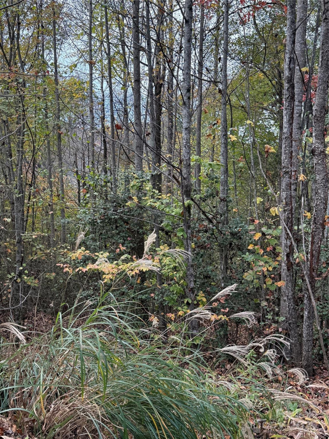 Lot # 7 West Legacy Drive #7 - Photo 6