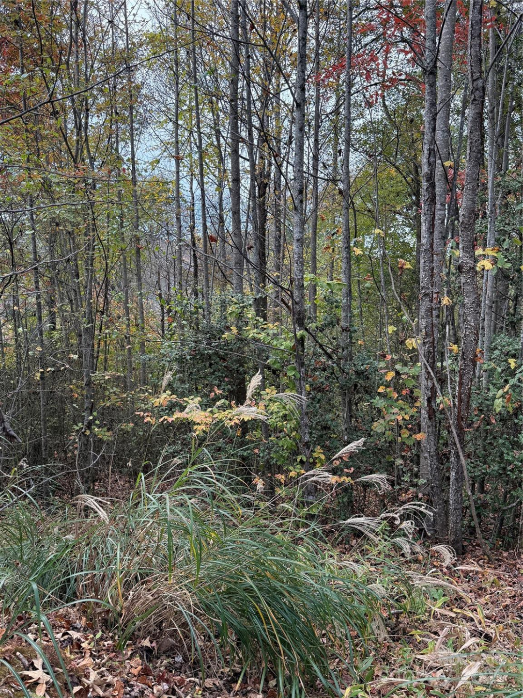 Lot # 7 West Legacy Drive #7 - Photo 7