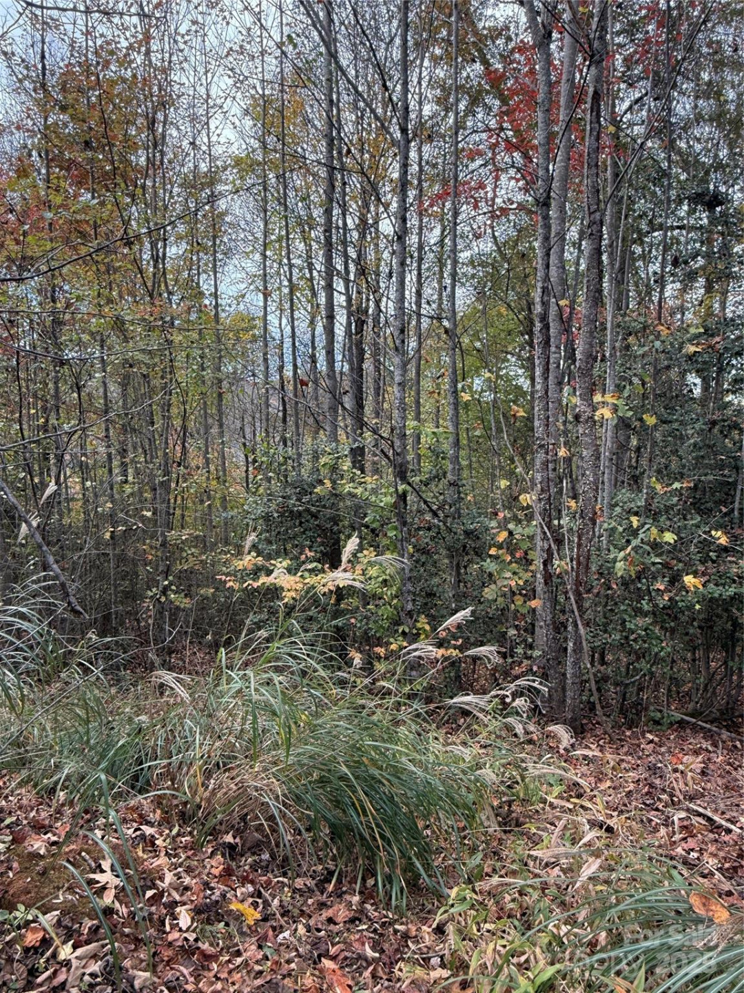 Lot # 7 West Legacy Drive #7 - Photo 8