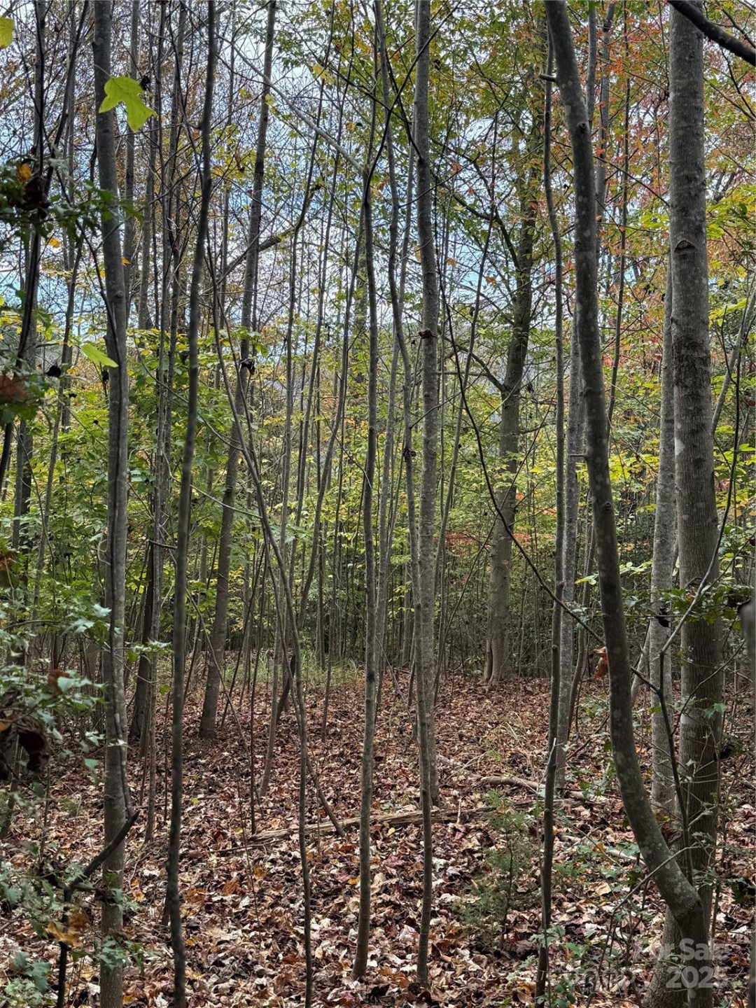 Lot # 7 West Legacy Drive #7 - Photo 9