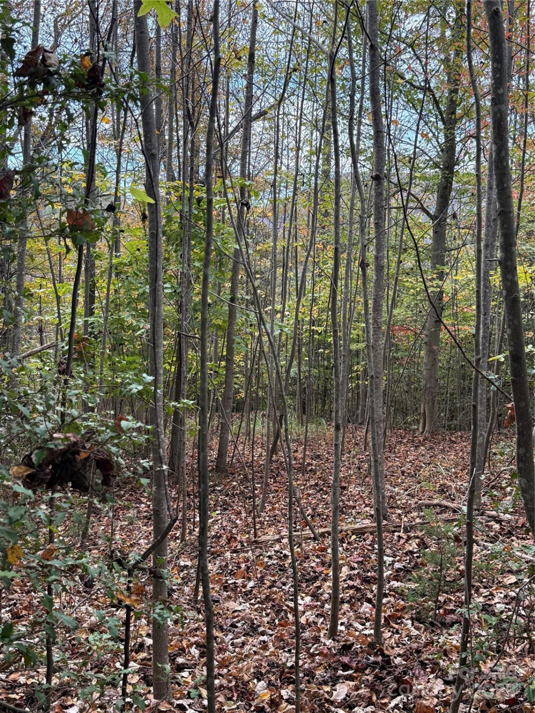 Lot # 7 West Legacy Drive #7 - Photo 10