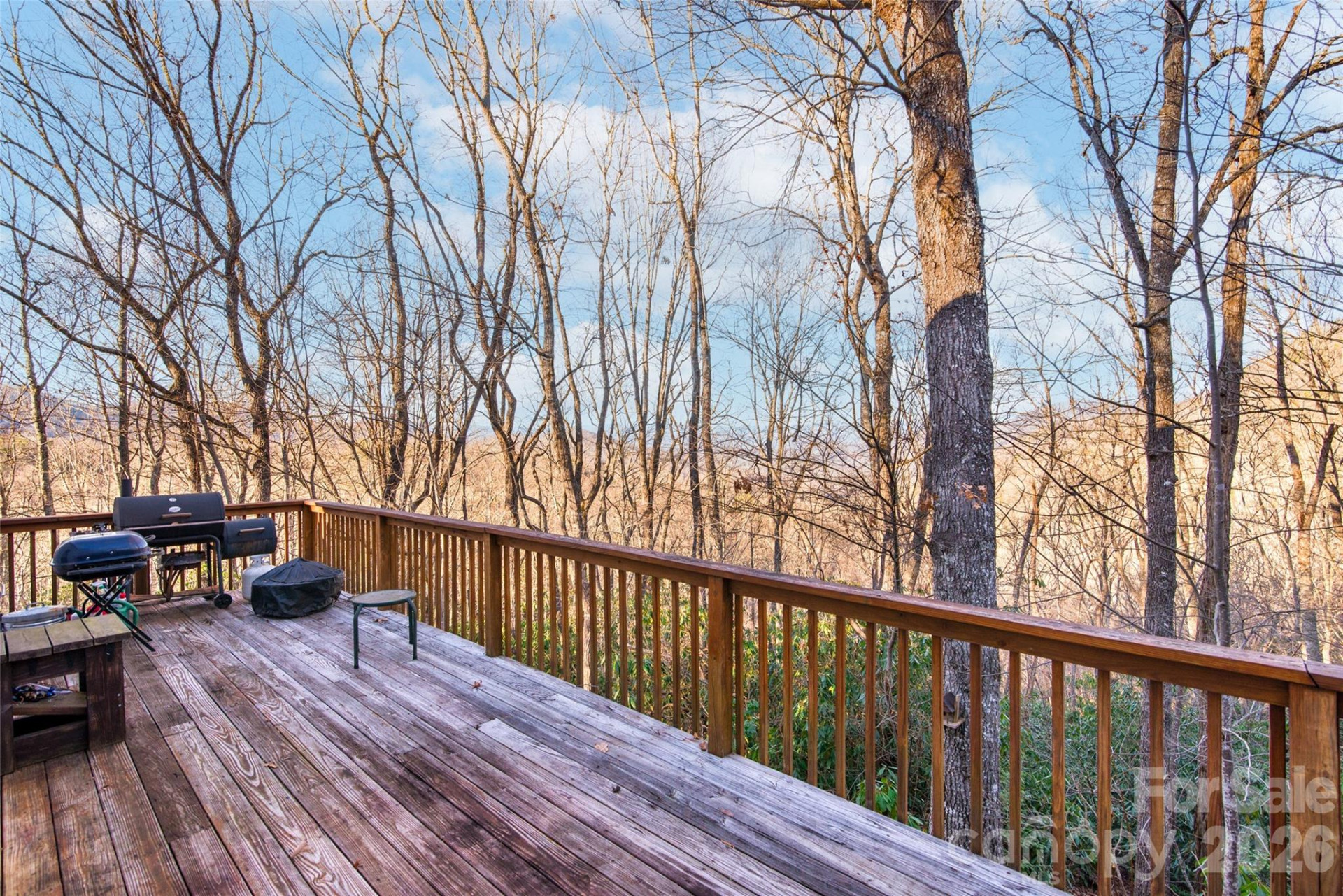 194 Ridgeview Drive - Photo 33