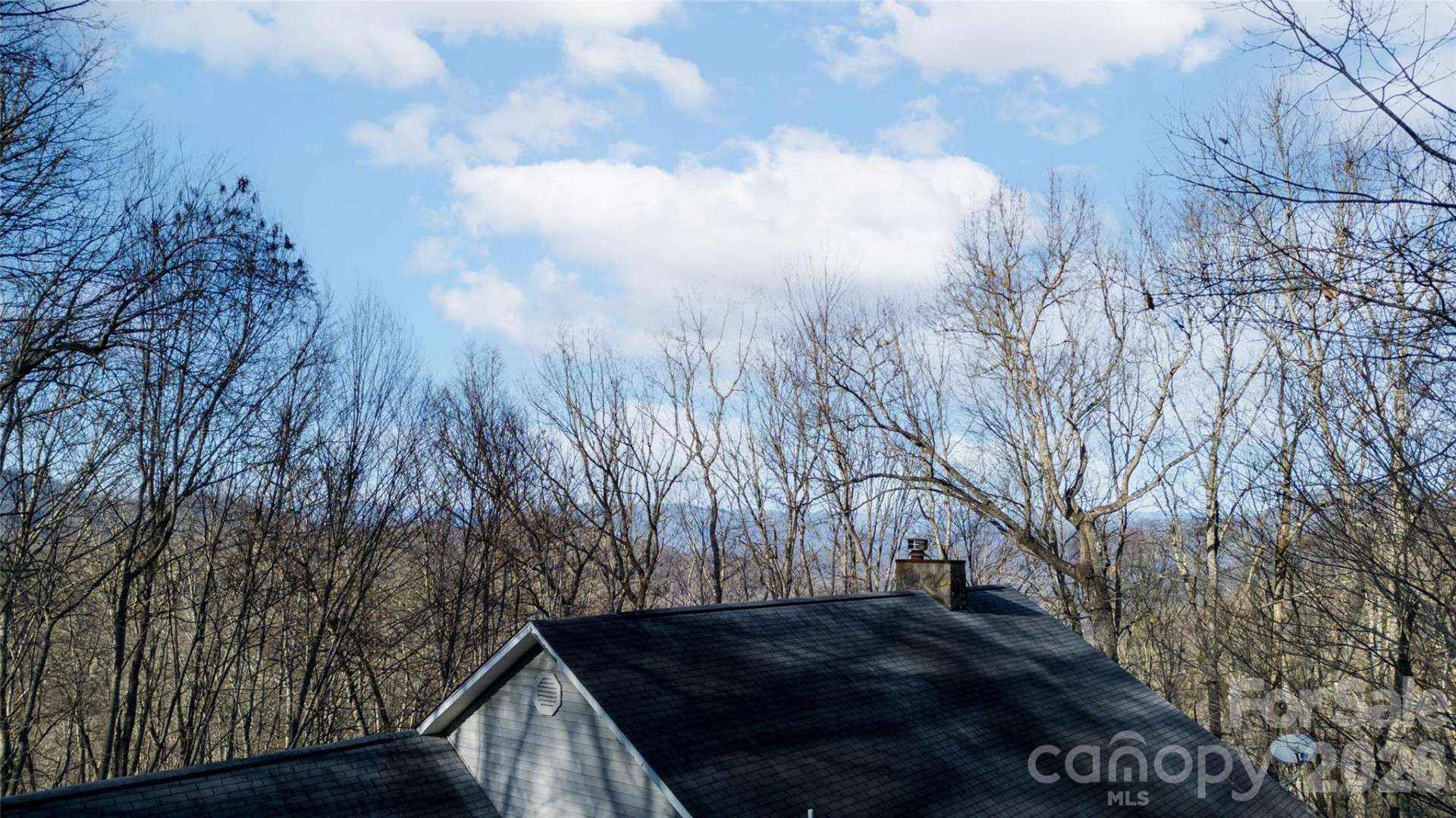 194 Ridgeview Drive - Photo 40