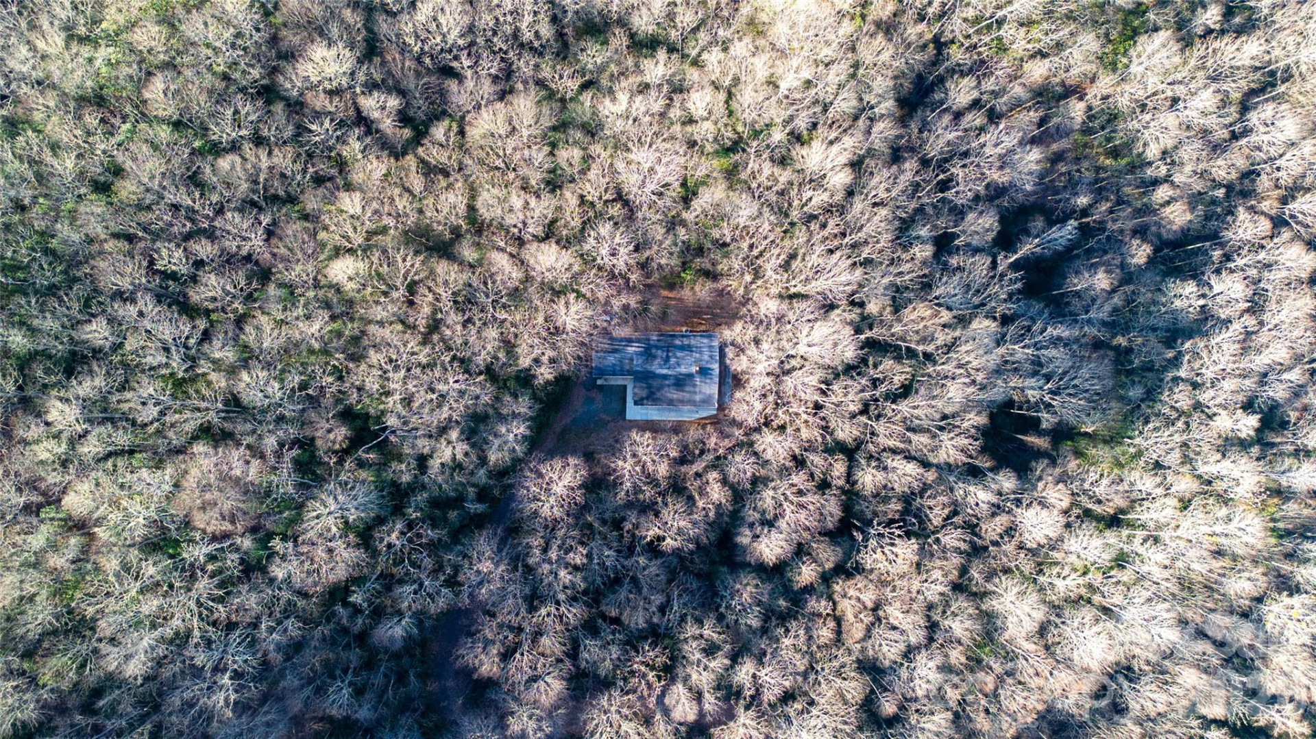 194 Ridgeview Drive - Photo 44