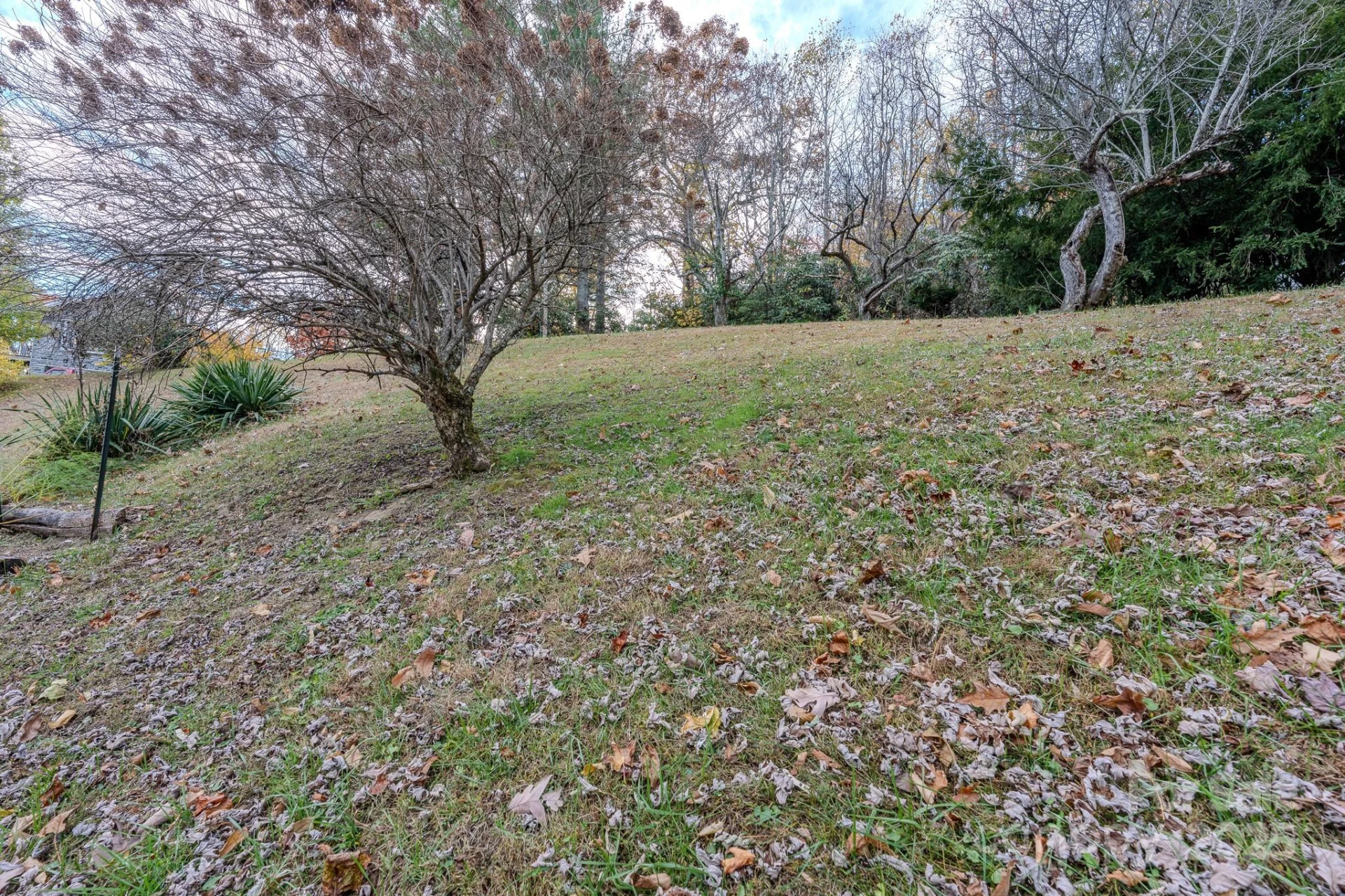 127 Reid Queen Drive - Photo 24