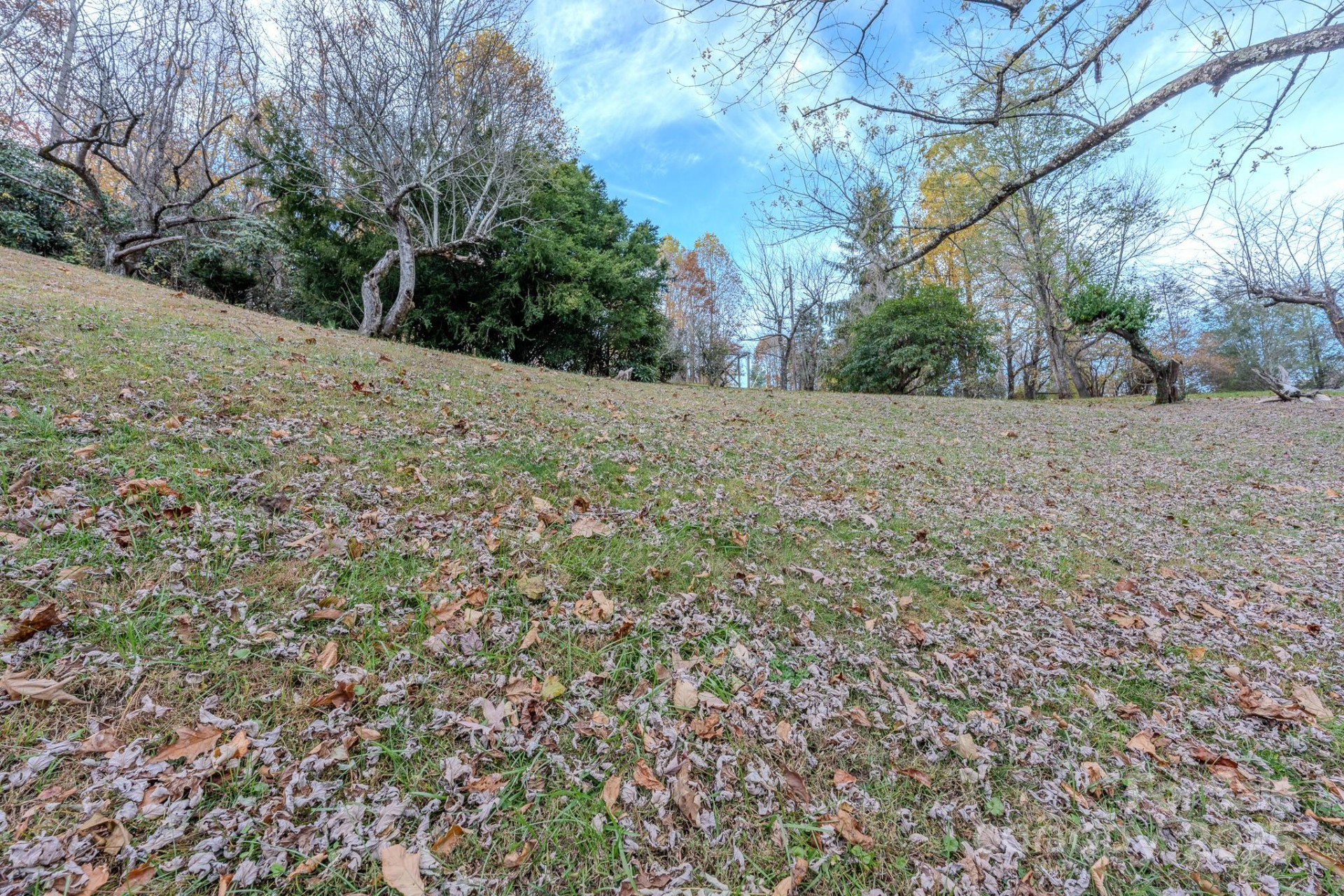 127 Reid Queen Drive - Photo 25