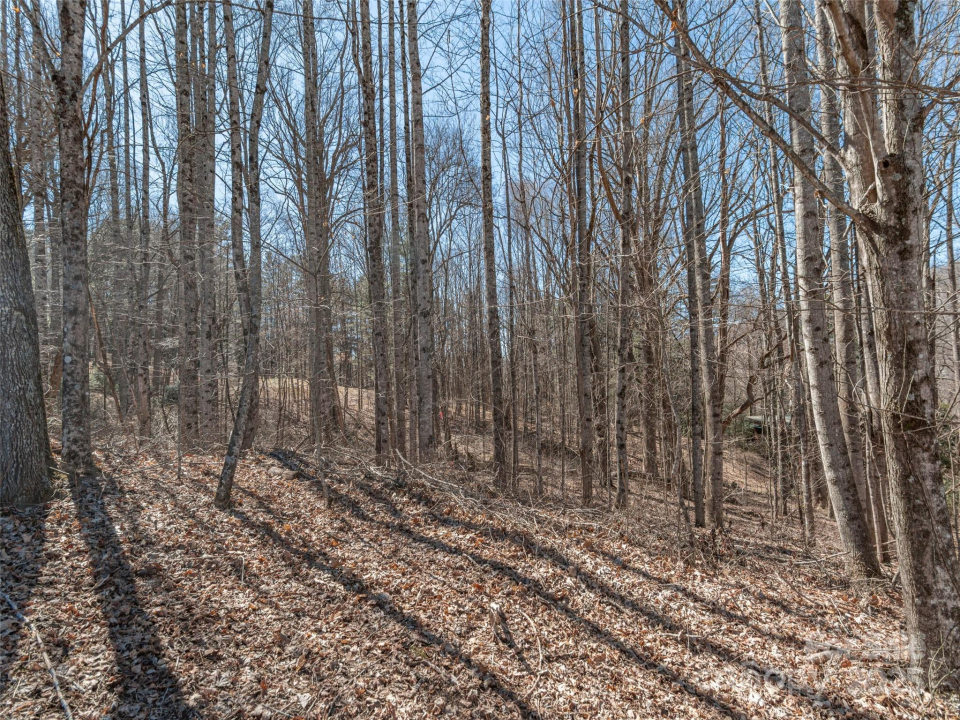 00 Sams Trail #27 - Photo 3