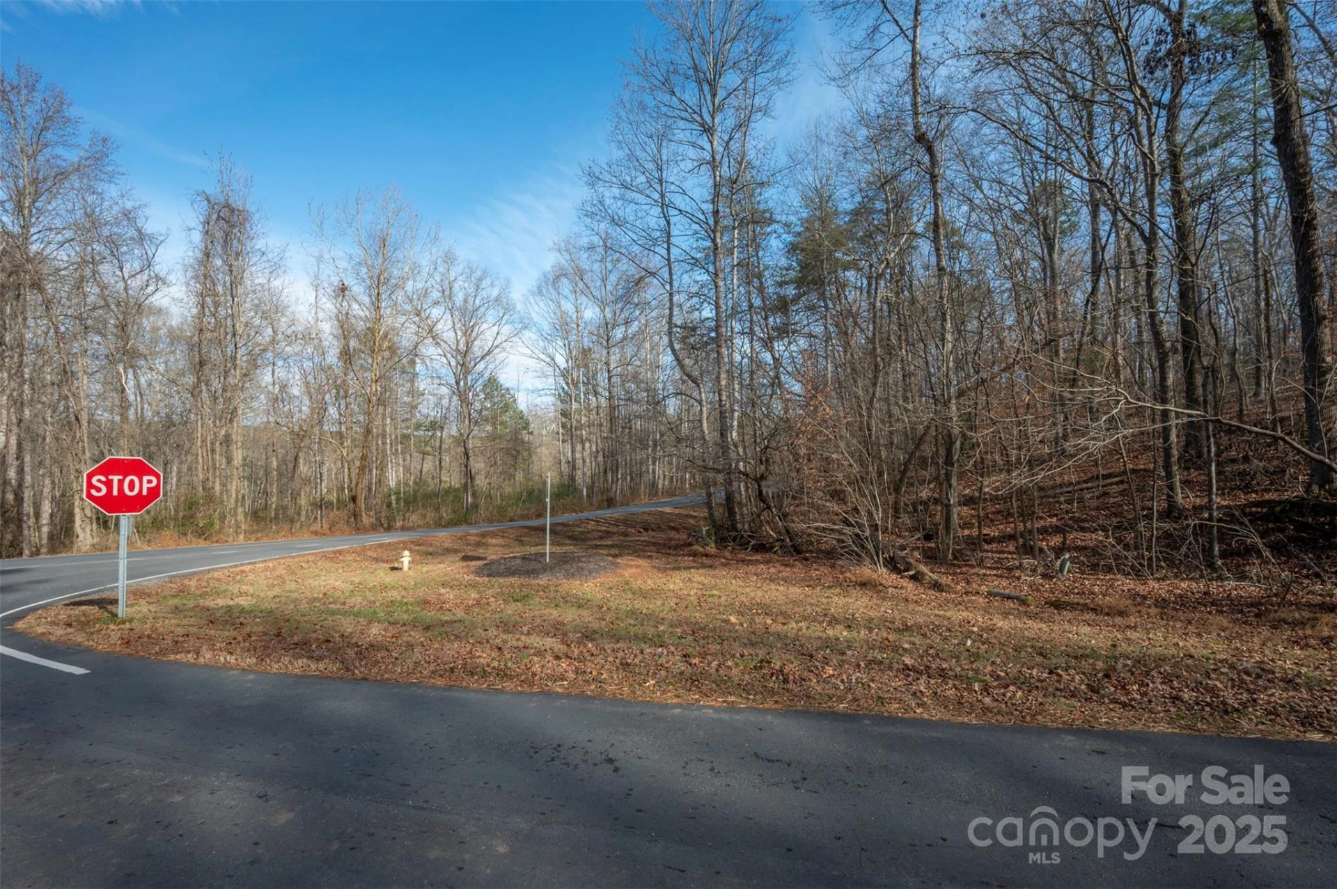 201 Harris Street - Photo 2