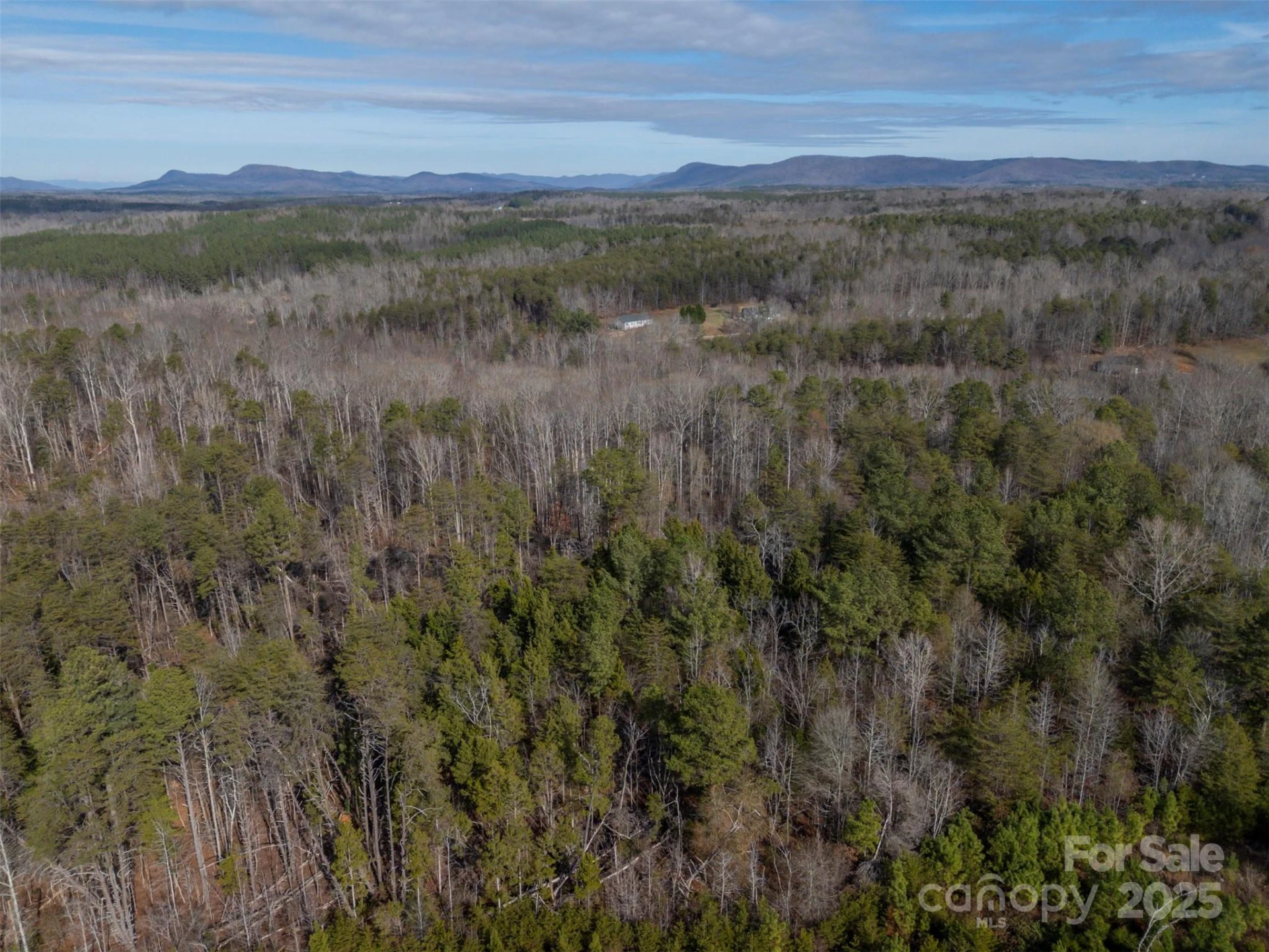 201 Harris Street - Photo 11
