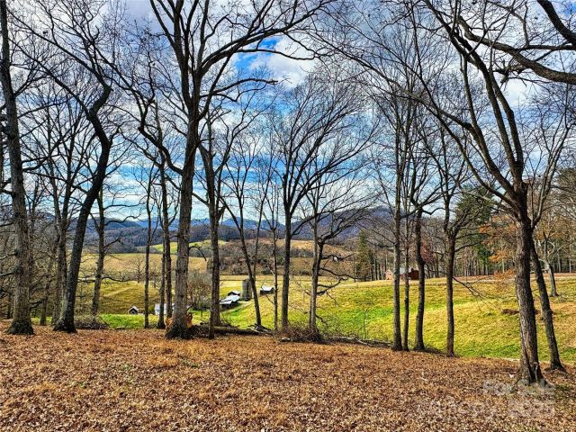 99999 Old Newfound Road, Leicester, NC, 28748