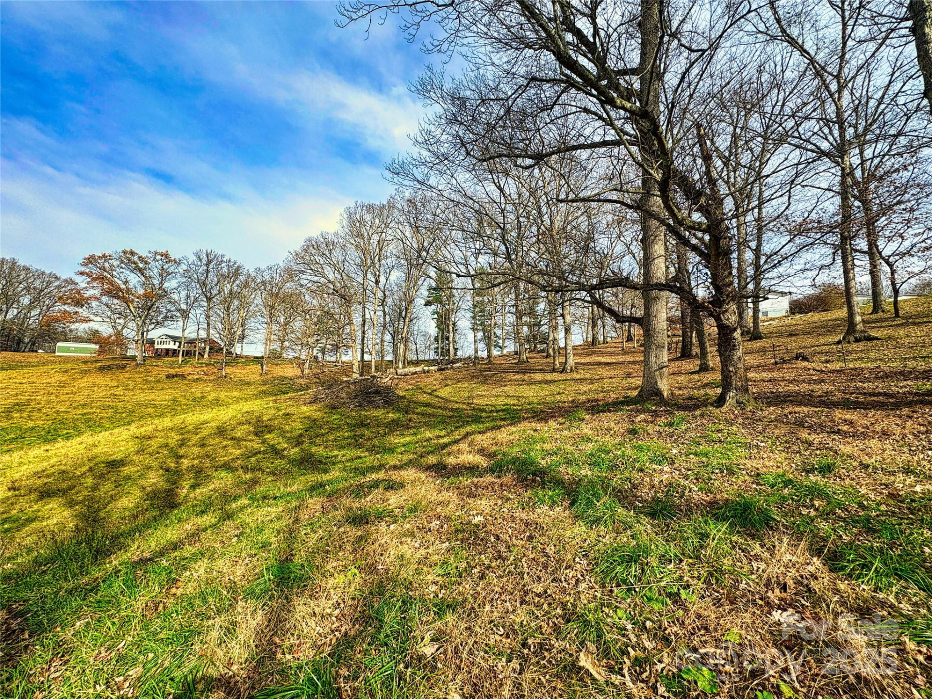 99999 Old Newfound Road - Photo 3