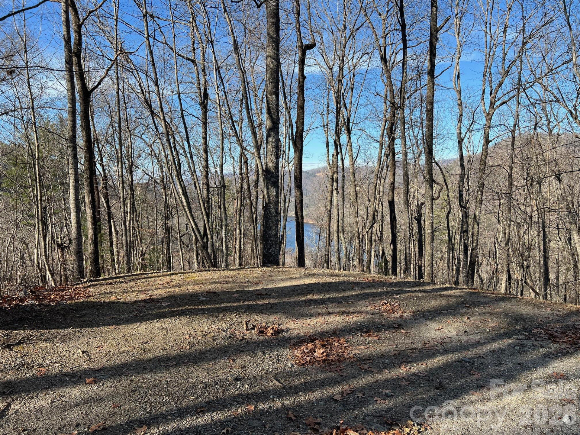 762 Scarlet Oak Road - Photo 11