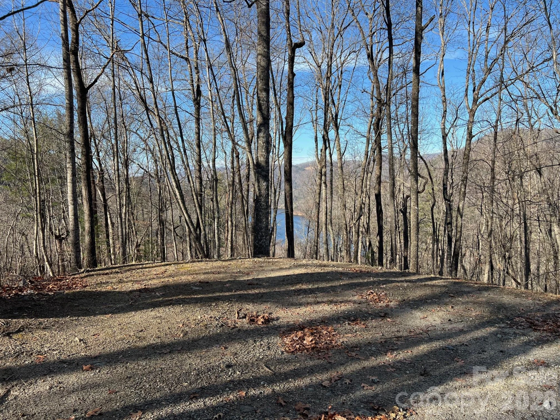 762 Scarlet Oak Road - Photo 11