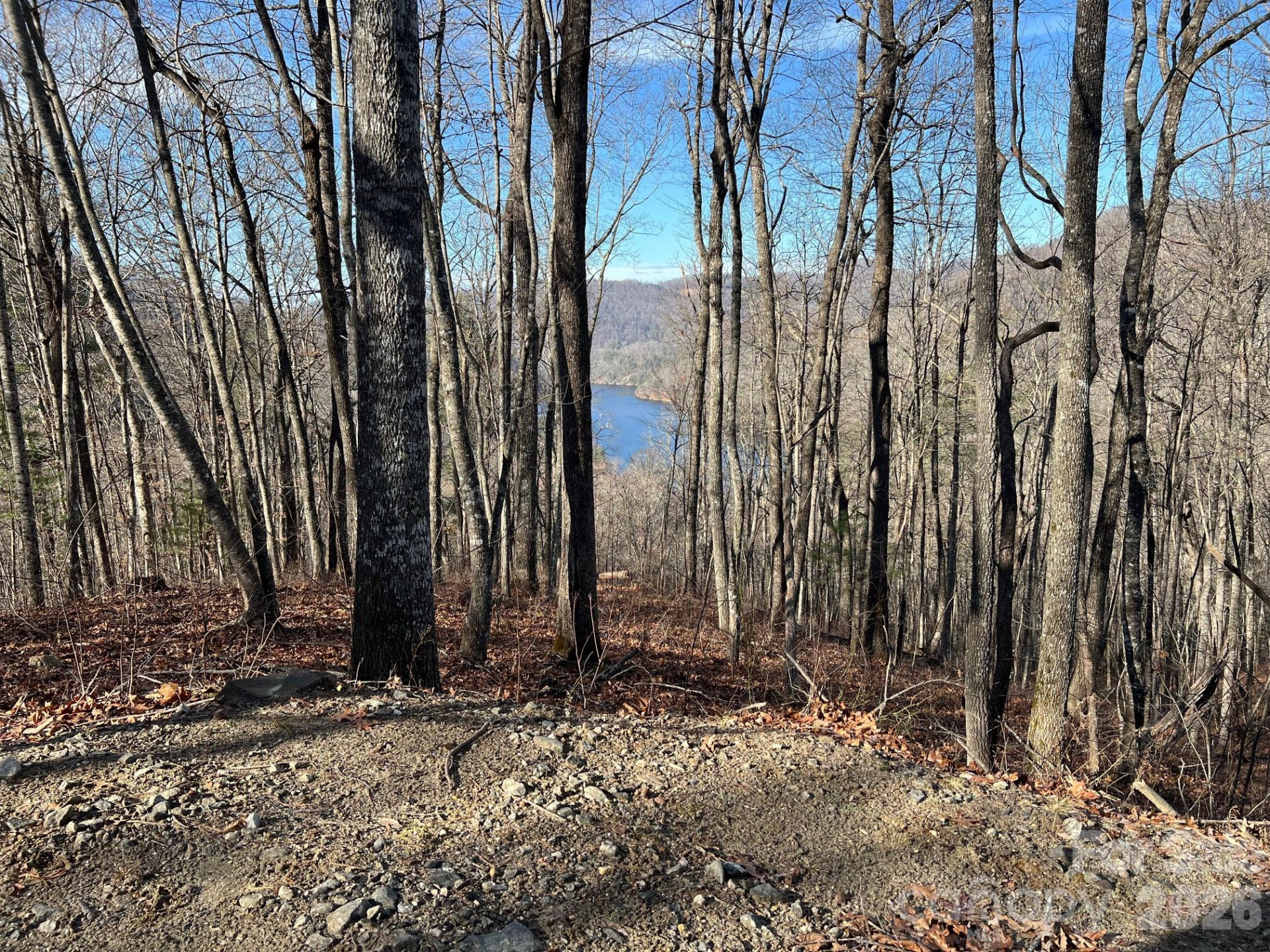 762 Scarlet Oak Road - Photo 12