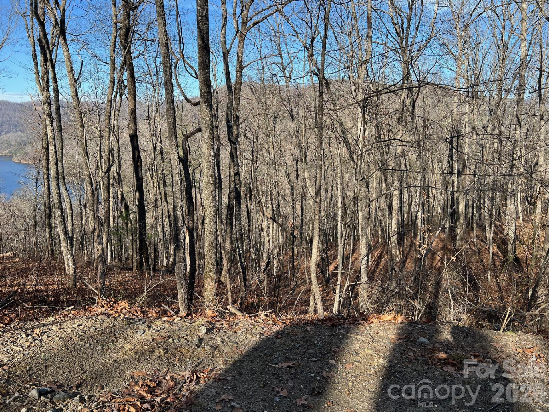 762 Scarlet Oak Road - Photo 13