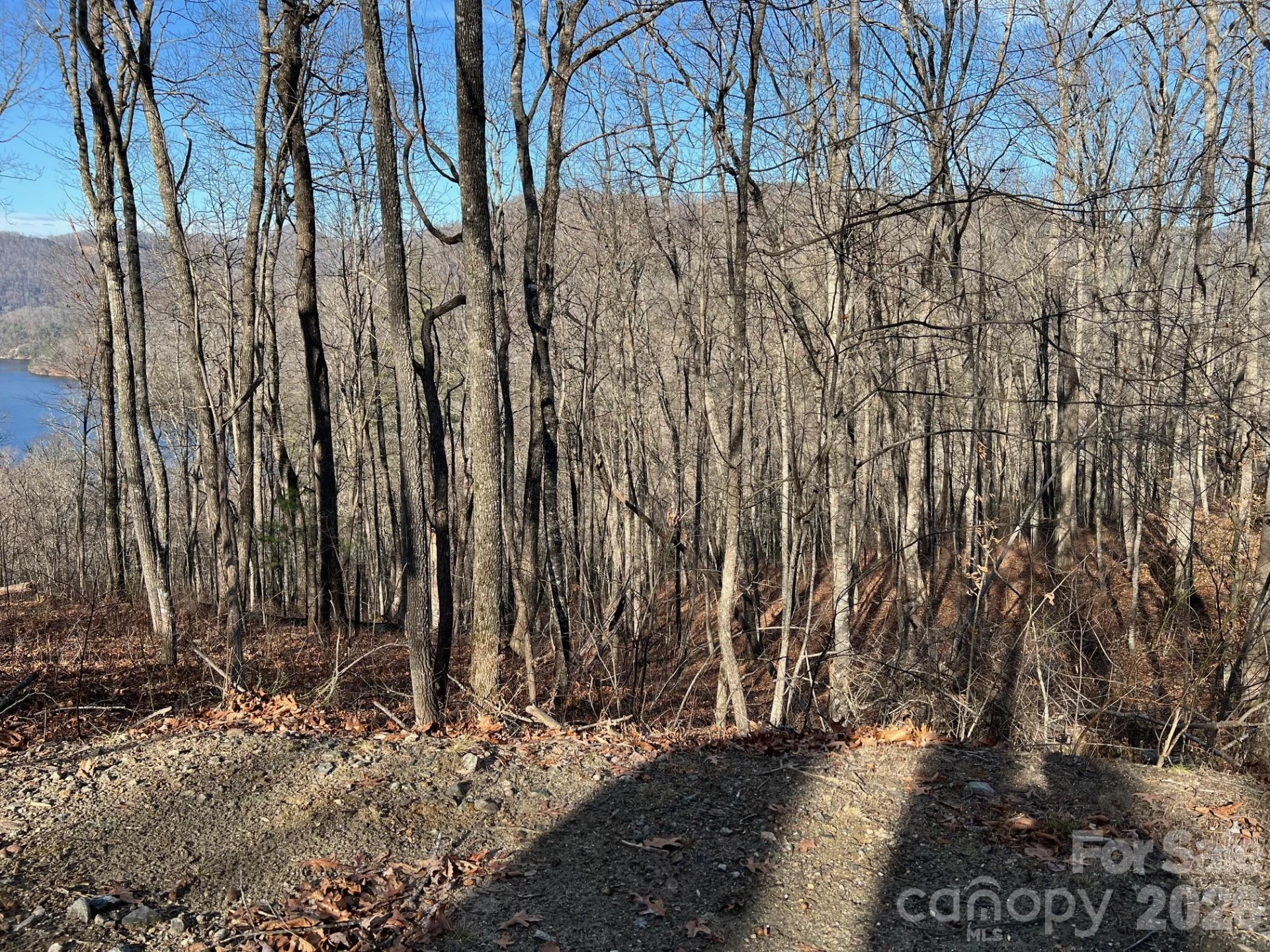 762 Scarlet Oak Road - Photo 13