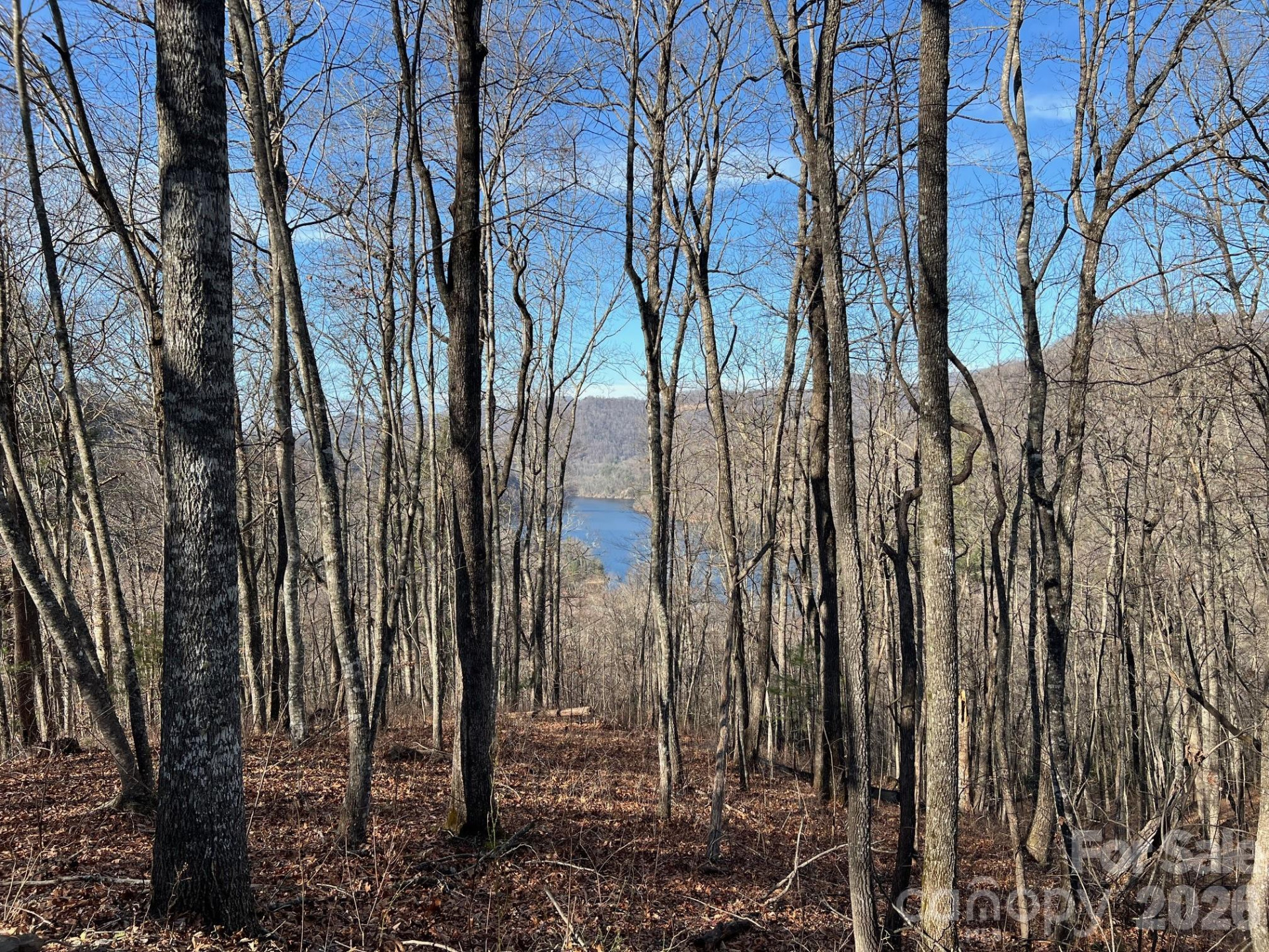 762 Scarlet Oak Road - Photo 14