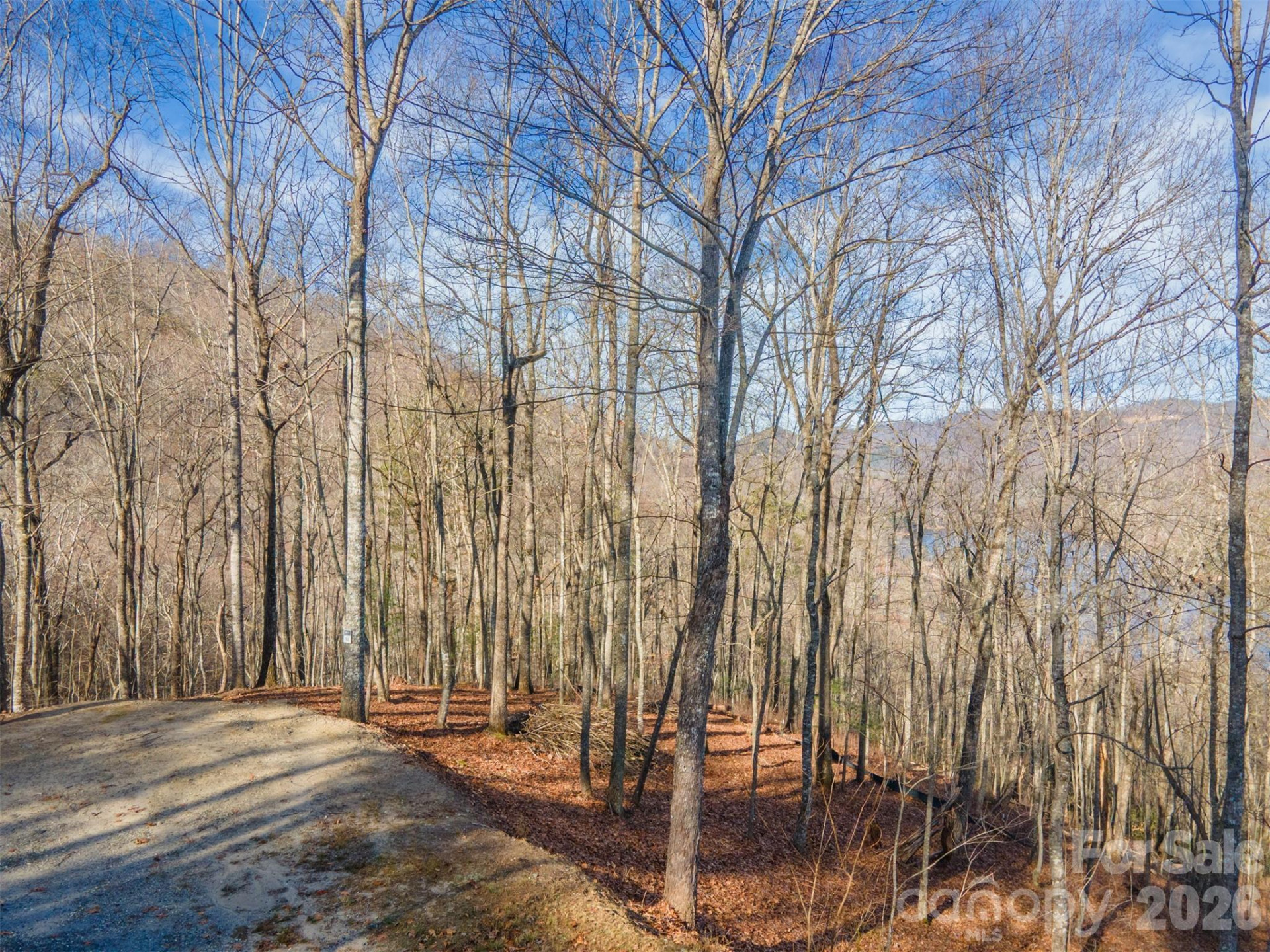 762 Scarlet Oak Road - Photo 16