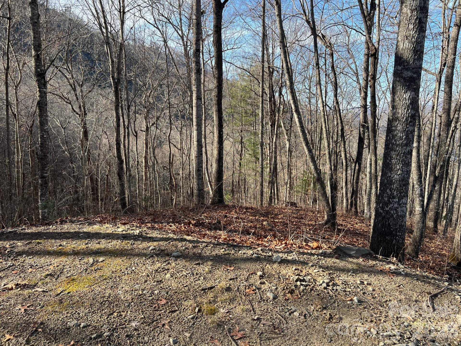 762 Scarlet Oak Road - Photo 17