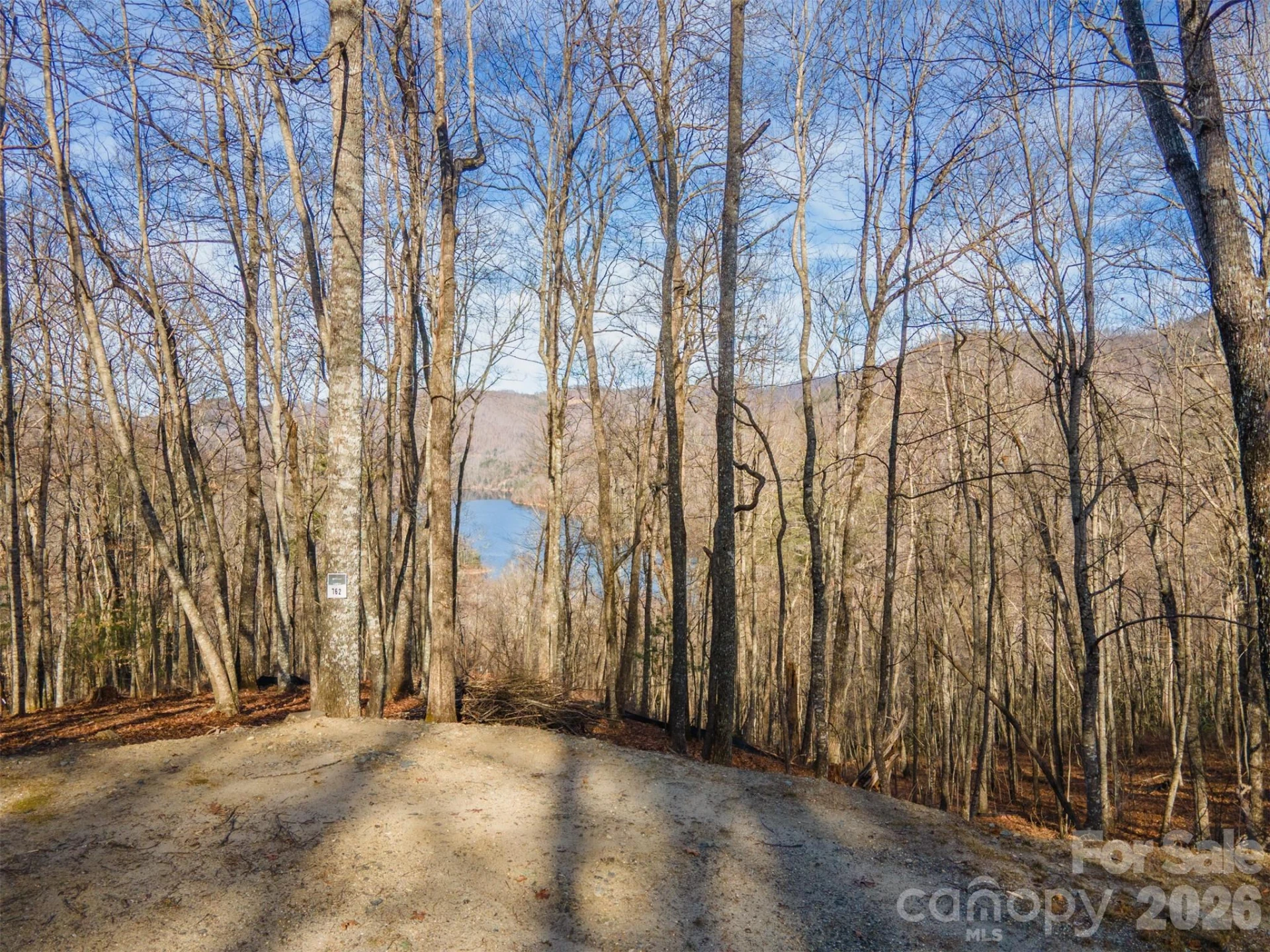 762 Scarlet Oak Road - Photo 9