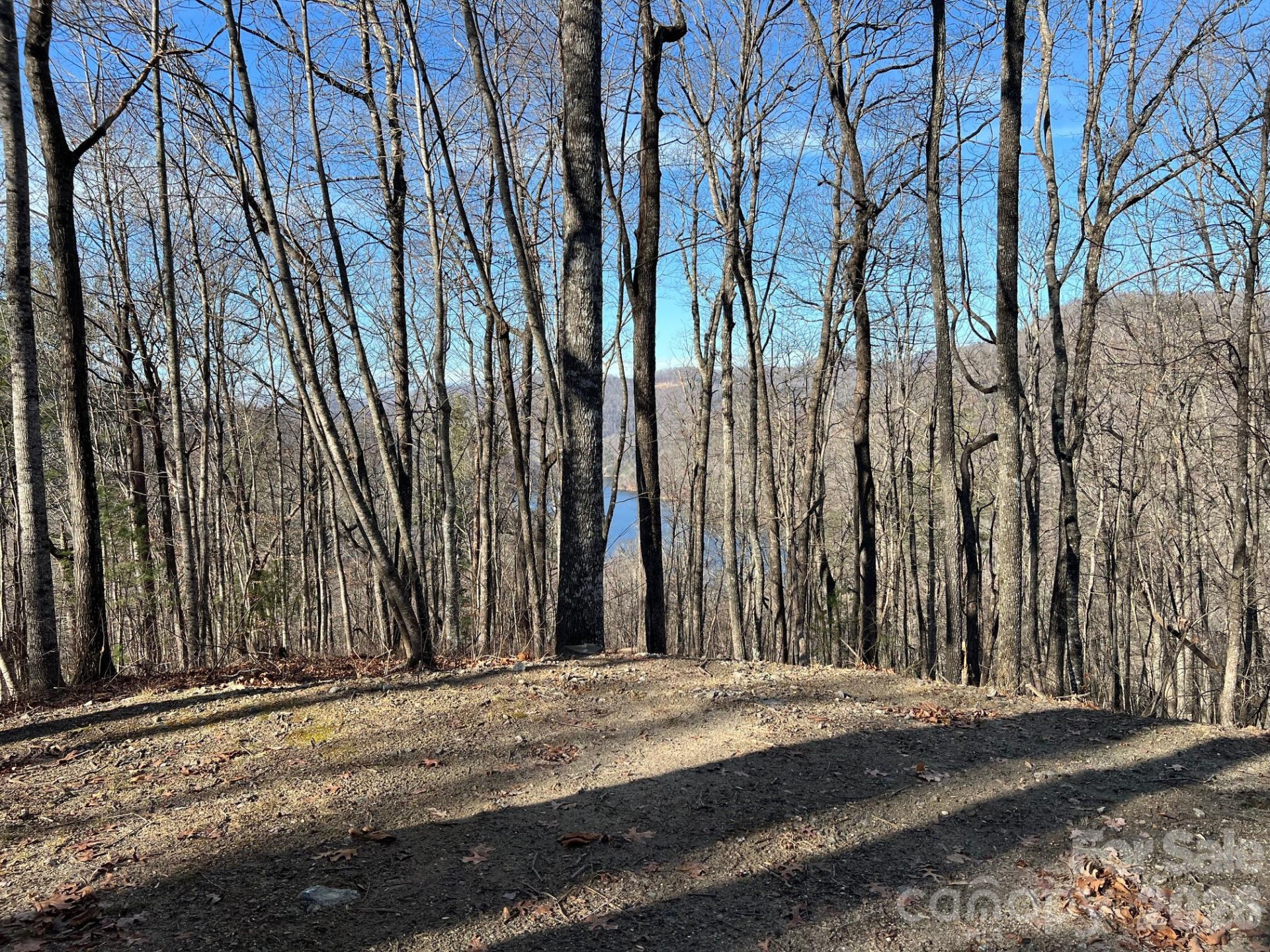 762 Scarlet Oak Road - Photo 10