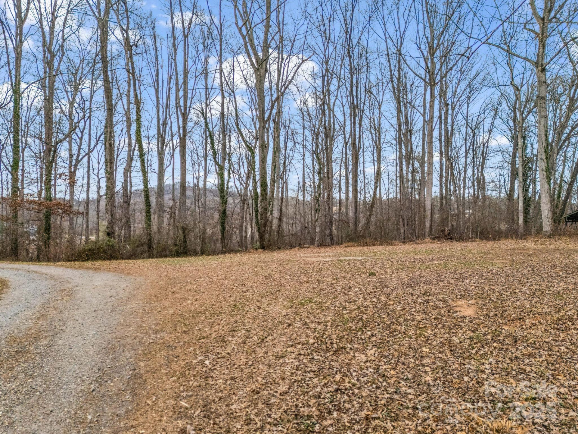 660 Glenn Bridge Road - Photo 4