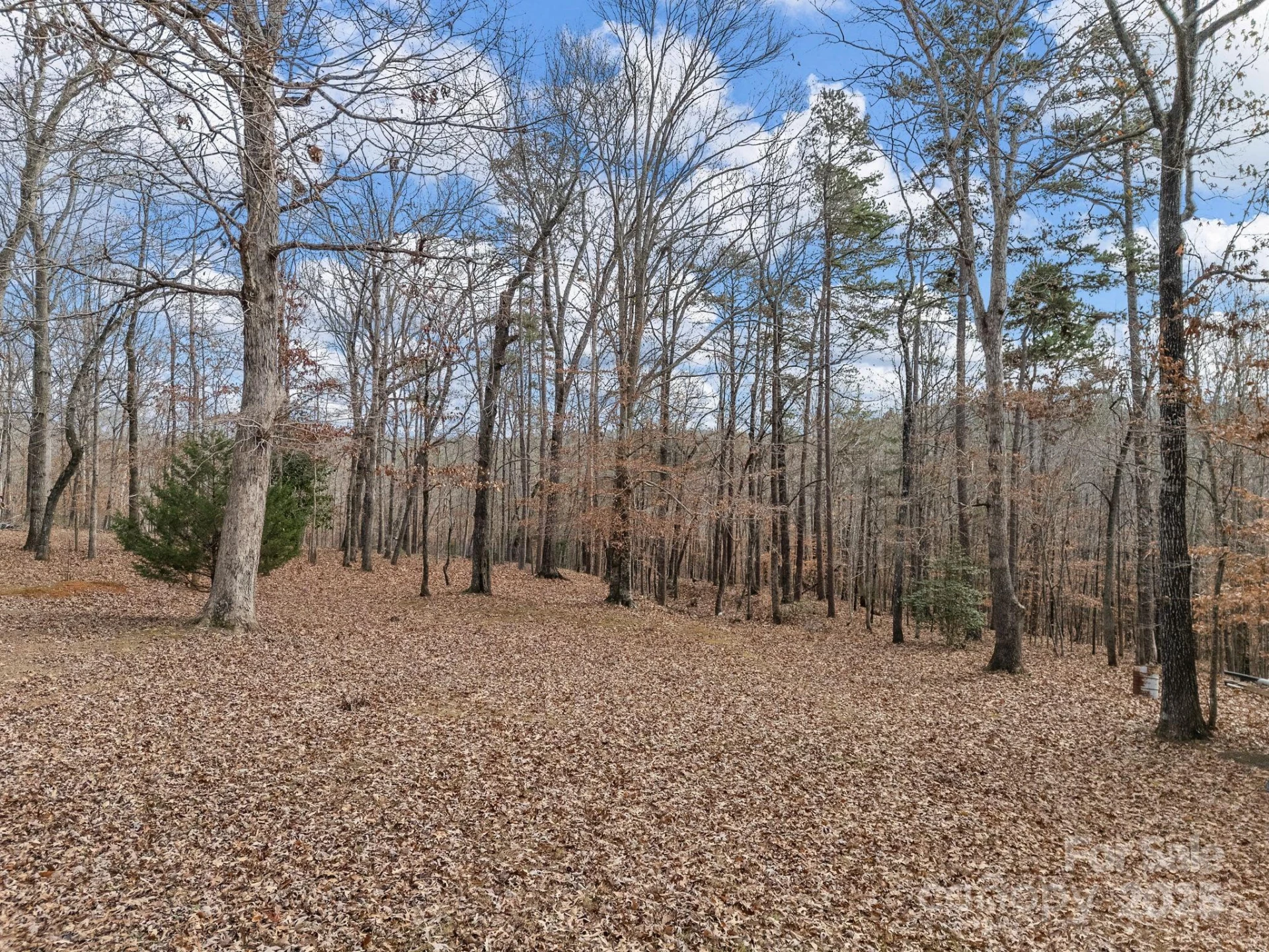 1020 Blanton Street - Photo 38