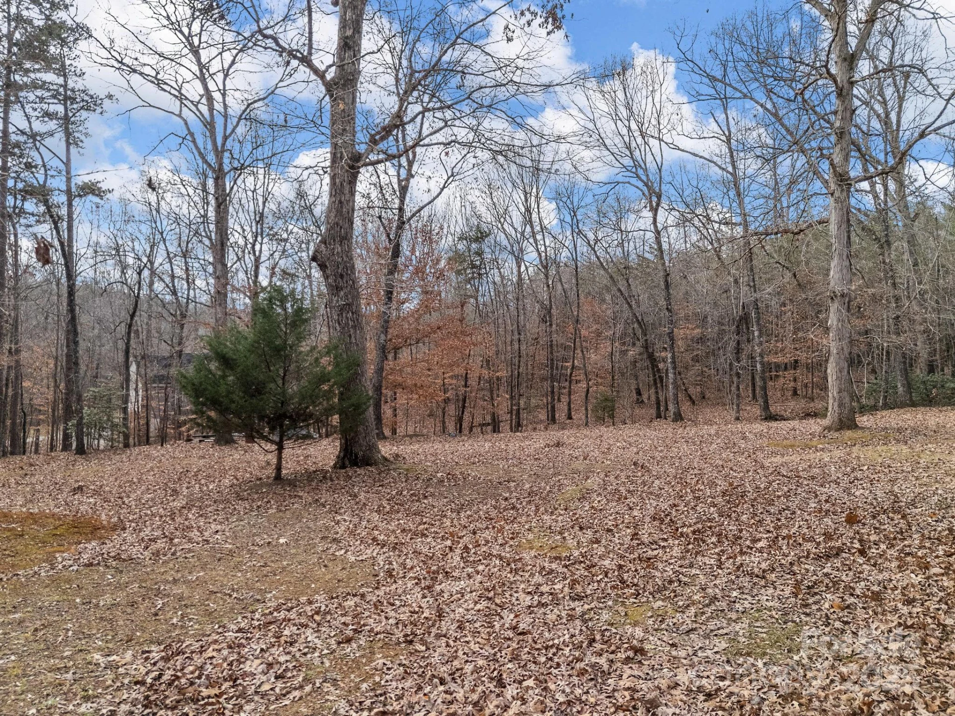 1020 Blanton Street - Photo 39