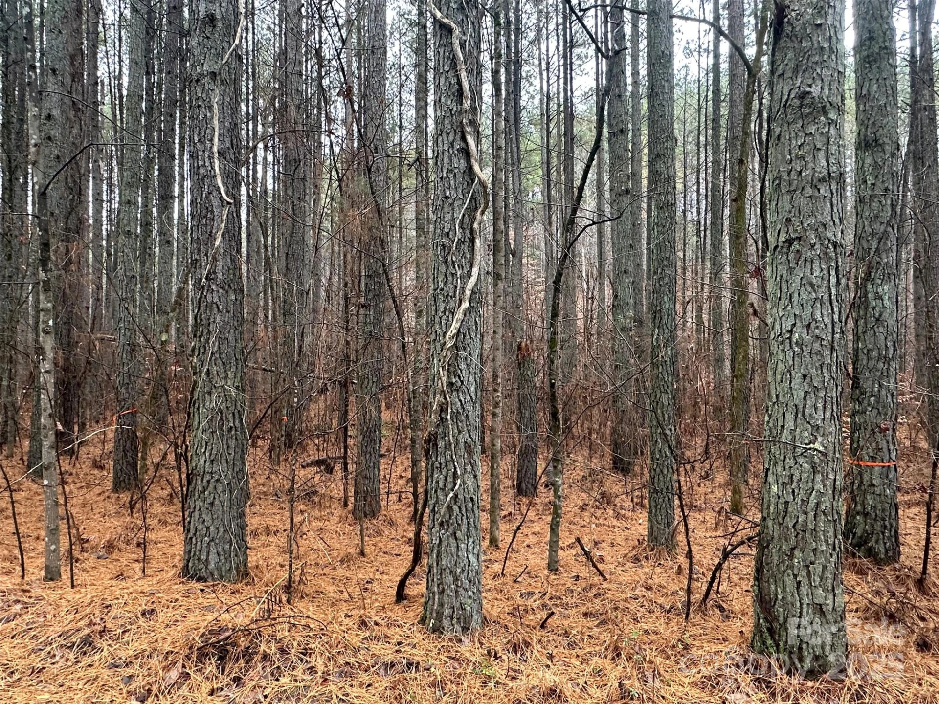 0 Frog Creek Road