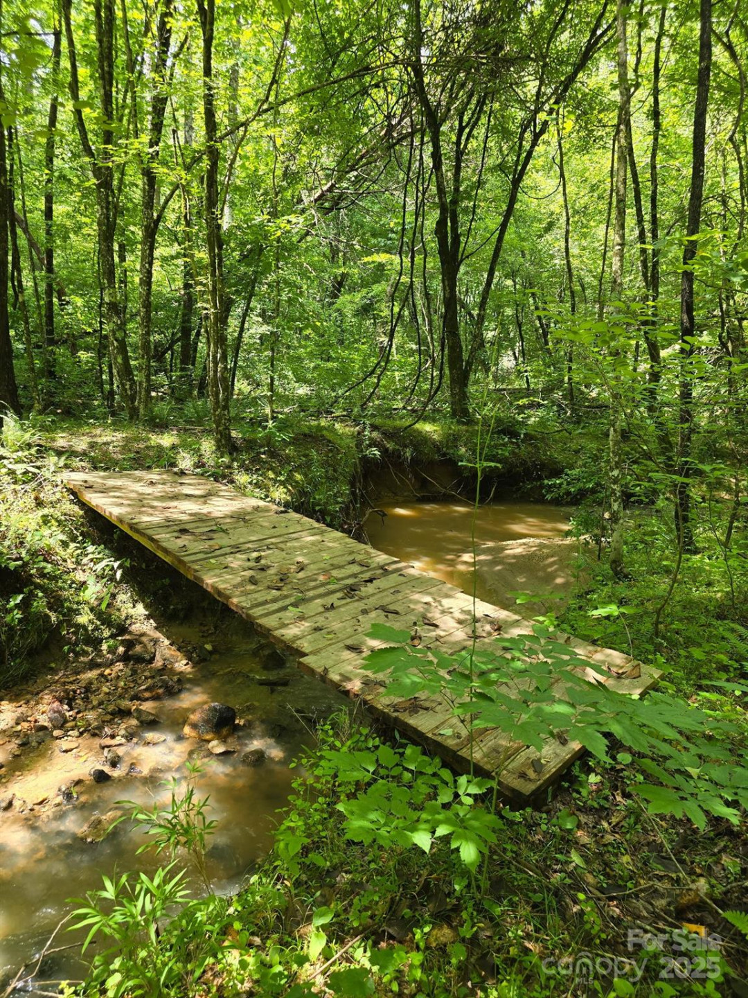 0 Frog Creek Road - Photo 3