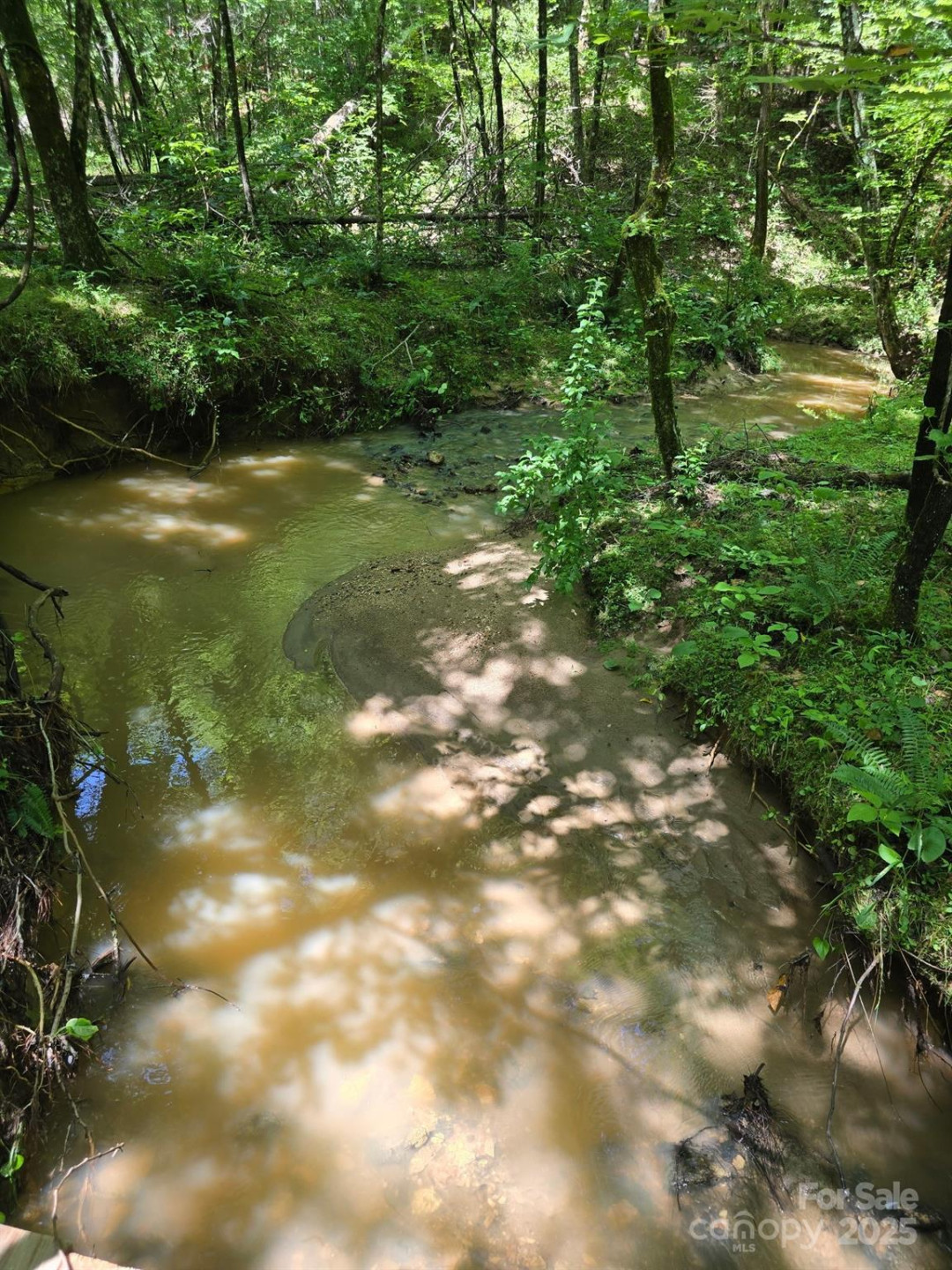 0 Frog Creek Road - Photo 5