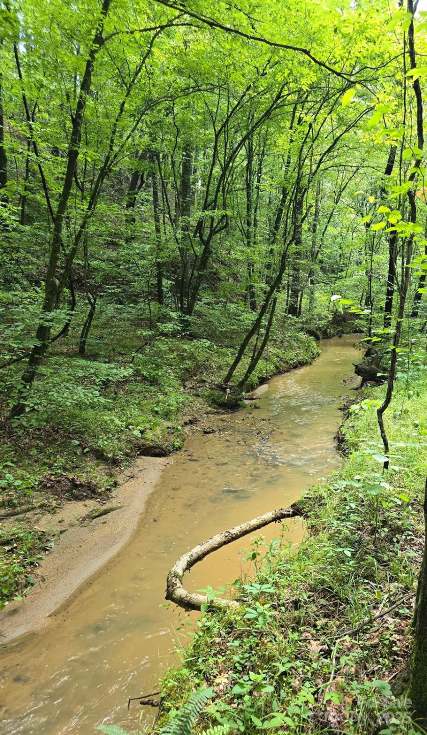 0 Frog Creek Road - Photo 6