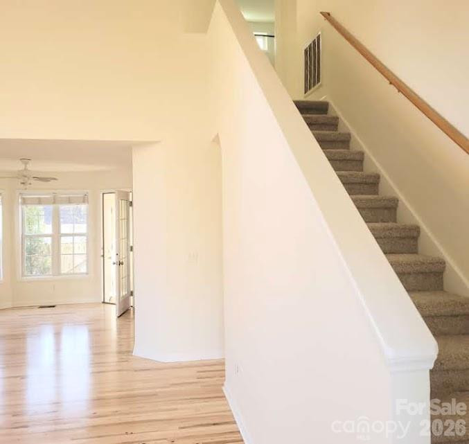 35 Cotton Creek Circle - Photo 29