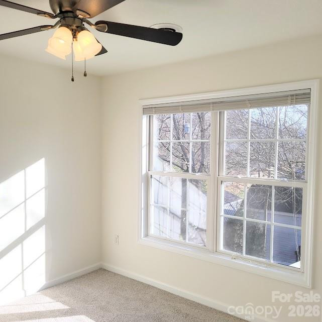 35 Cotton Creek Circle - Photo 32