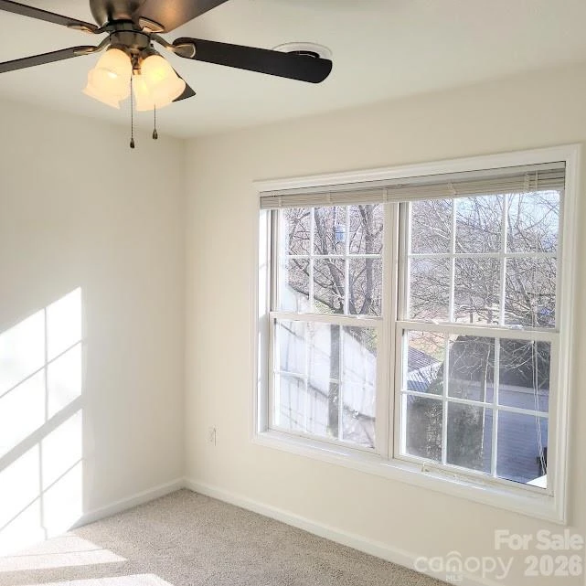 35 Cotton Creek Circle - Photo 28