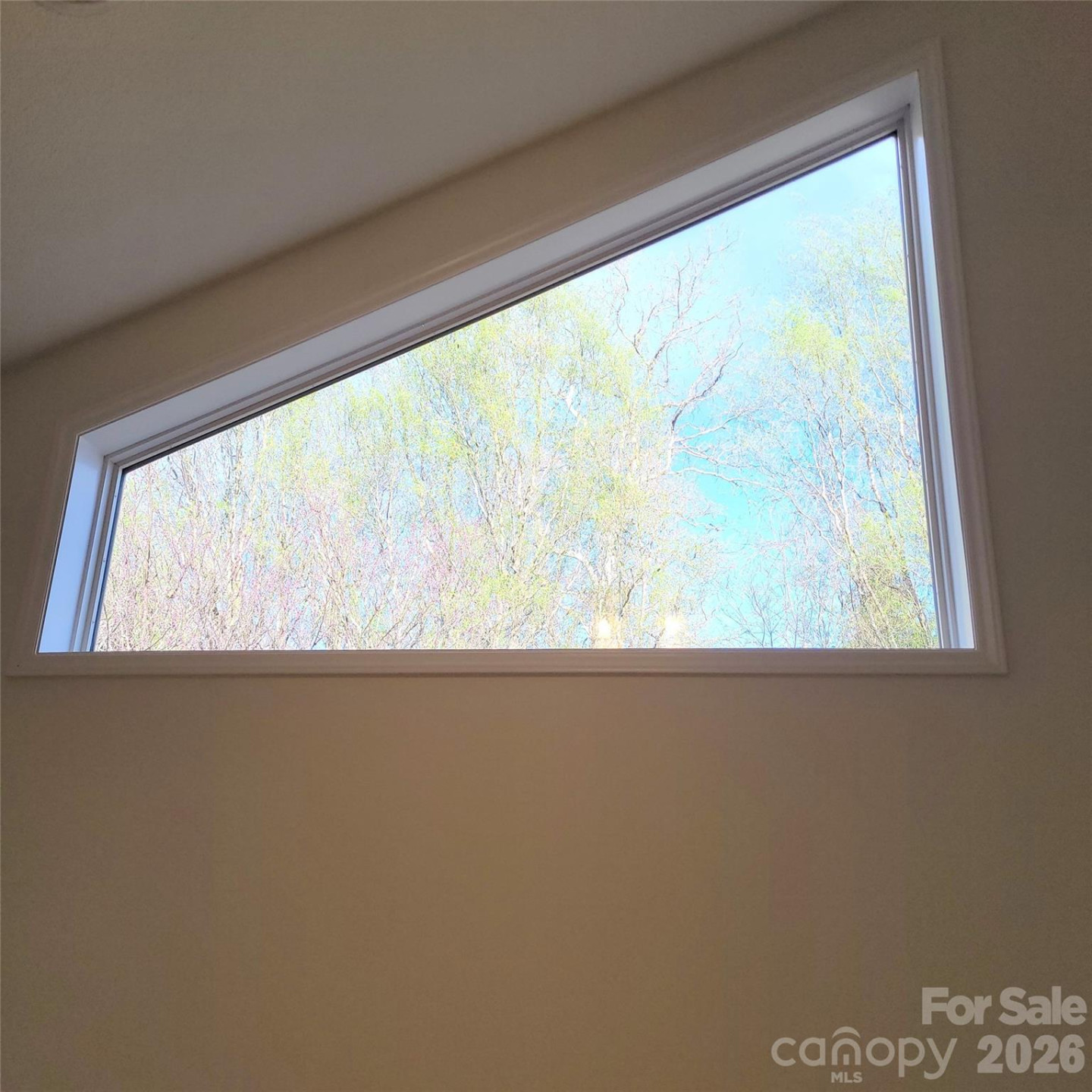 35 Cotton Creek Circle - Photo 42