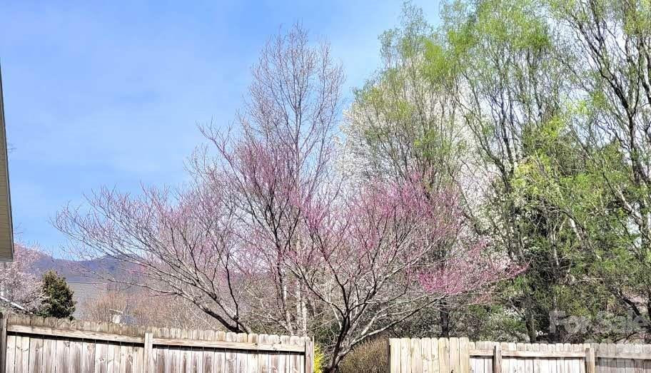 35 Cotton Creek Circle - Photo 45