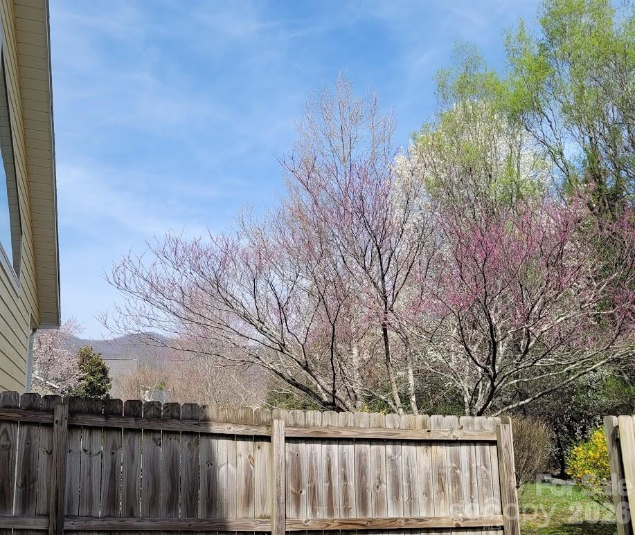 35 Cotton Creek Circle - Photo 8