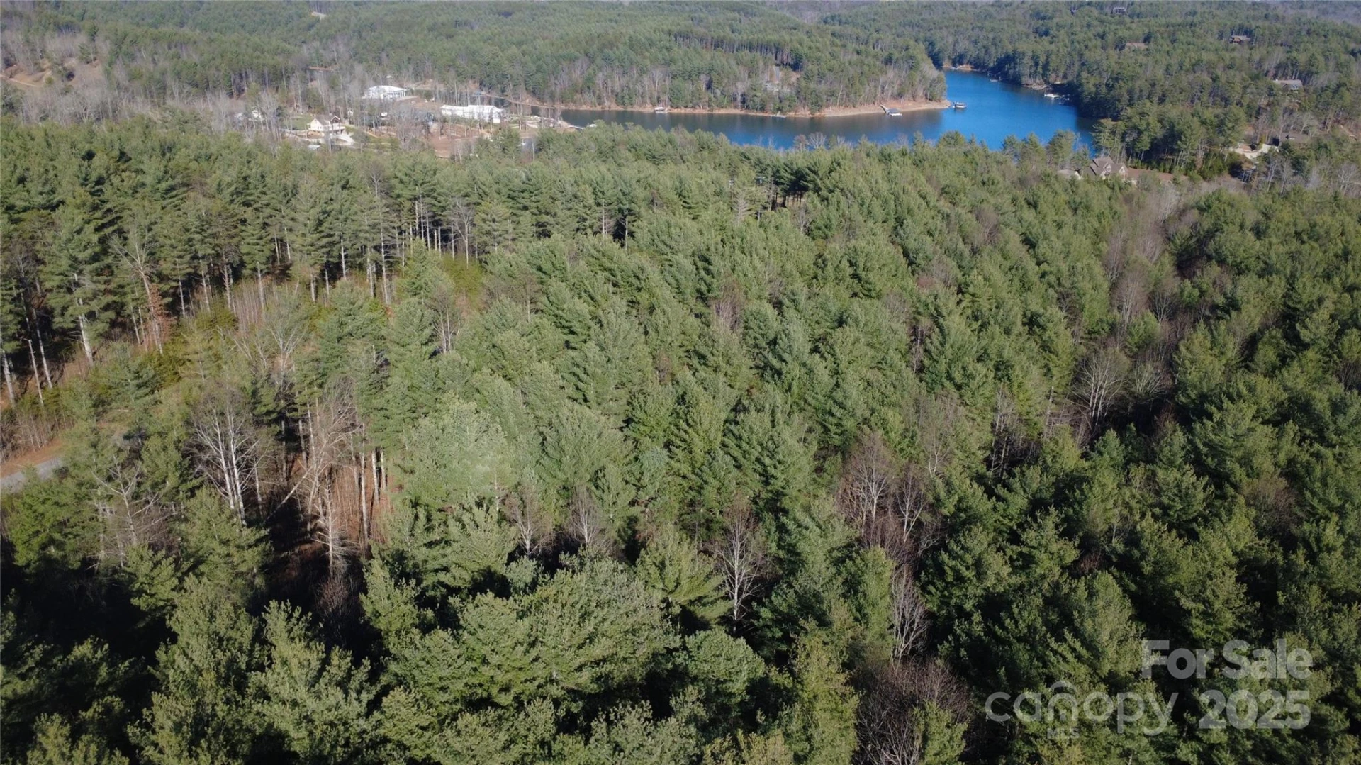 597 Peninsula Reserve Road #34 - Photo 12