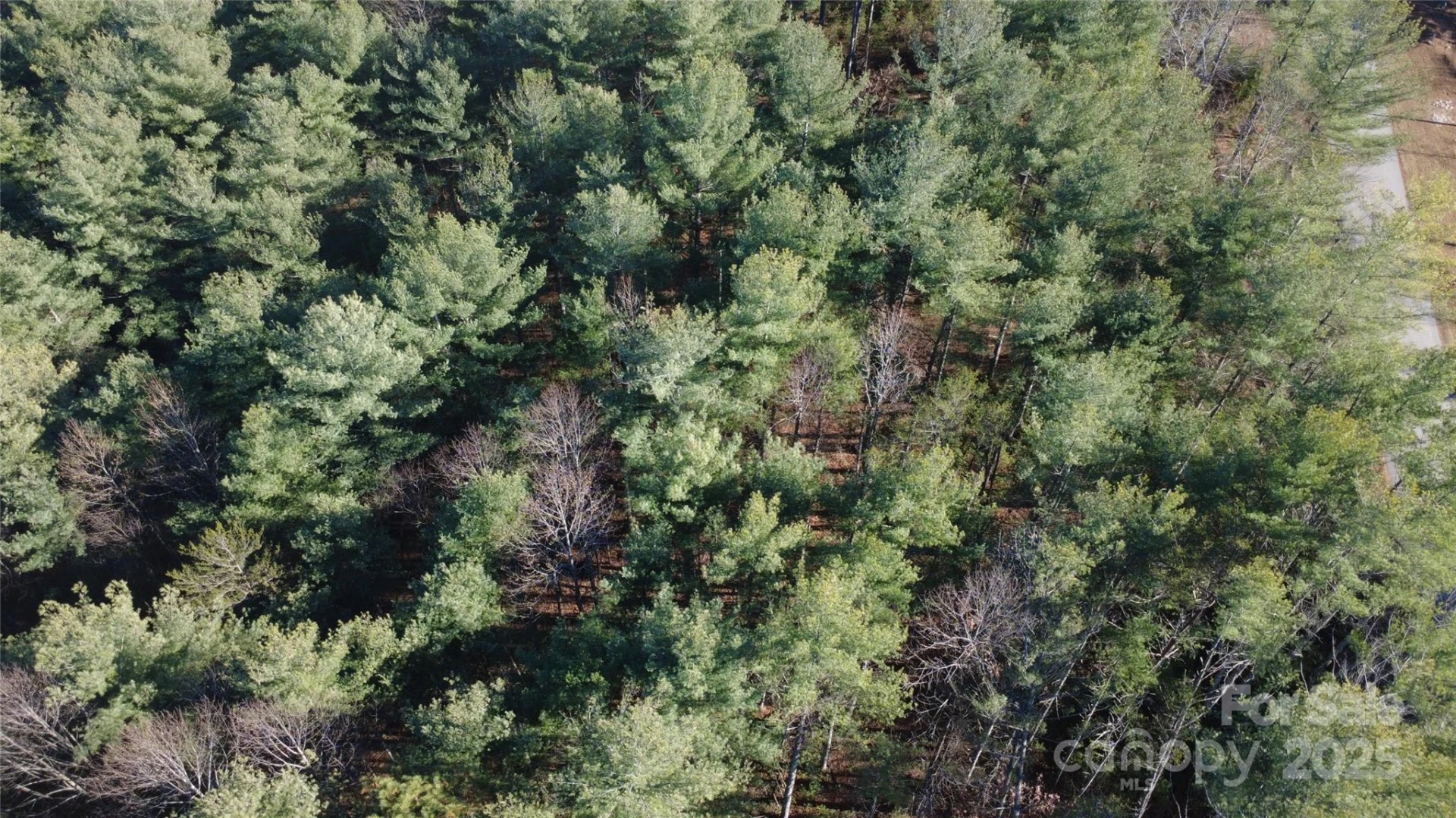 597 Peninsula Reserve Road #34 - Photo 13