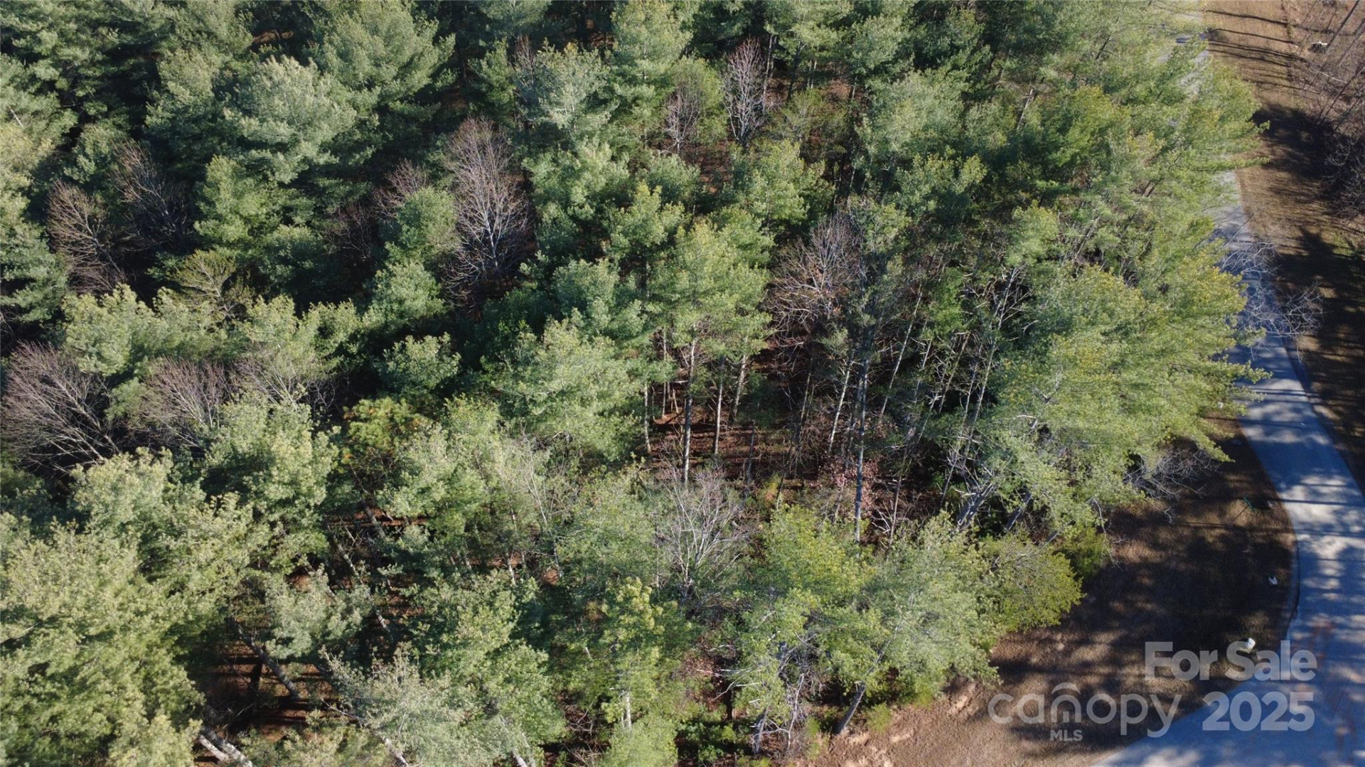 597 Peninsula Reserve Road #34 - Photo 14