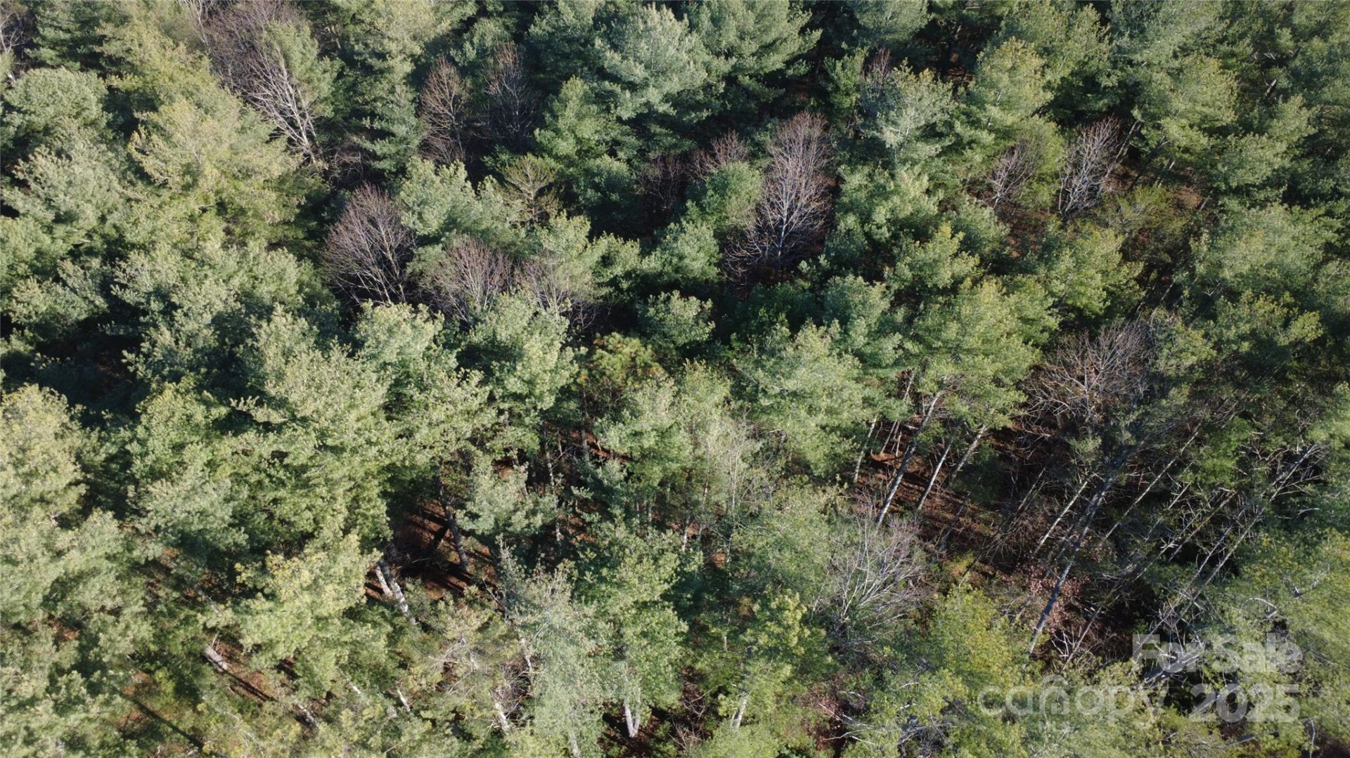 597 Peninsula Reserve Road #34 - Photo 15