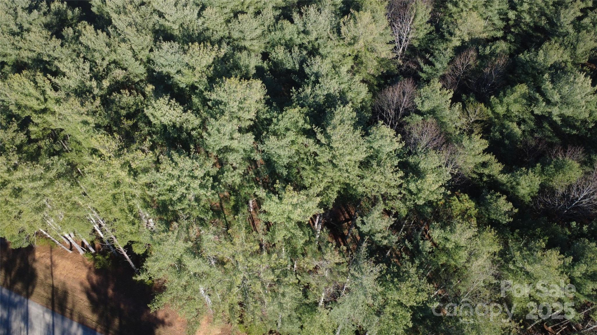 597 Peninsula Reserve Road #34 - Photo 16