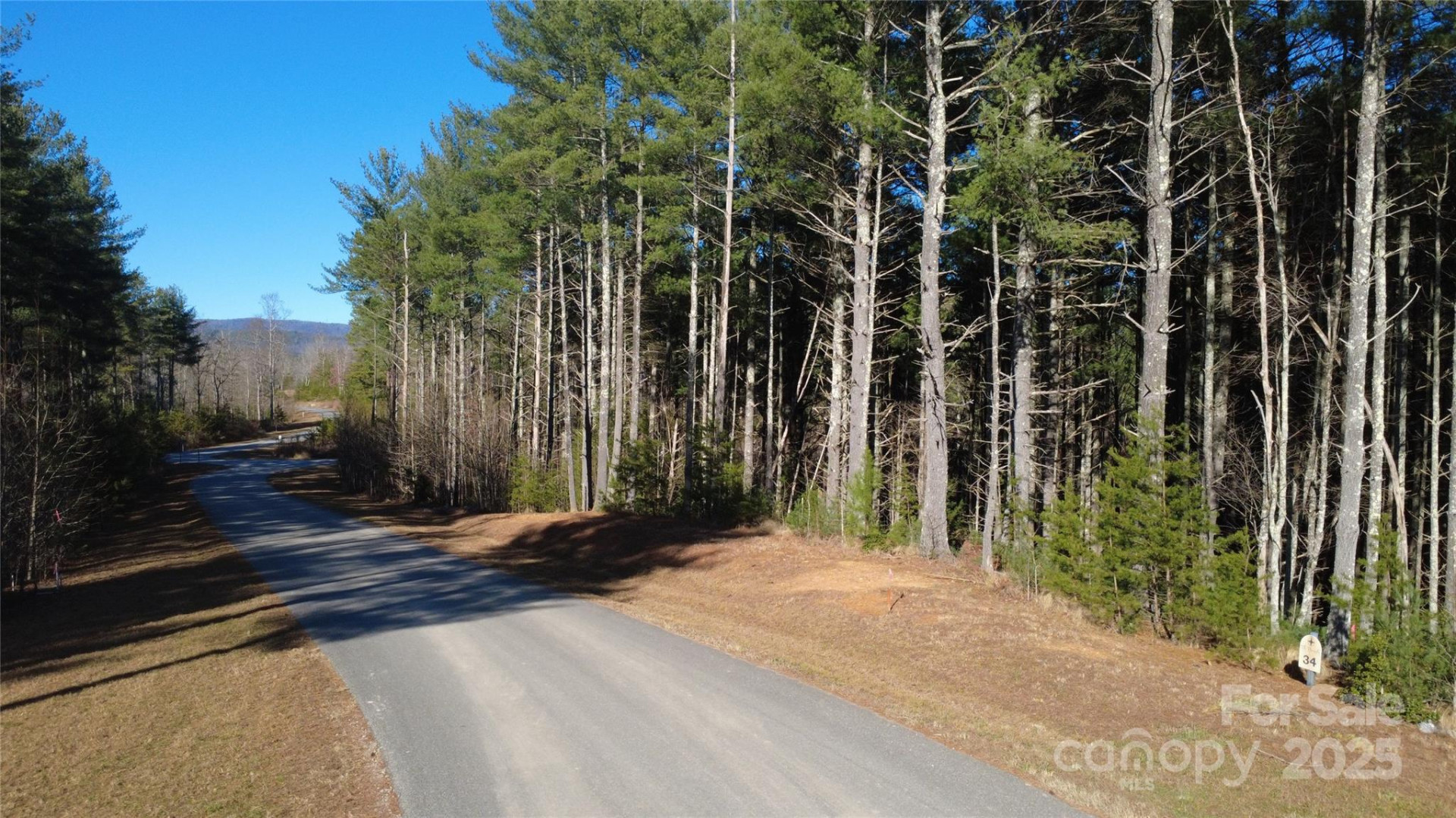 597 Peninsula Reserve Road #34 - Photo 18