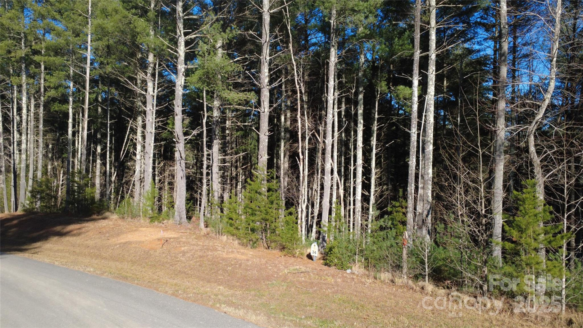 597 Peninsula Reserve Road #34 - Photo 19